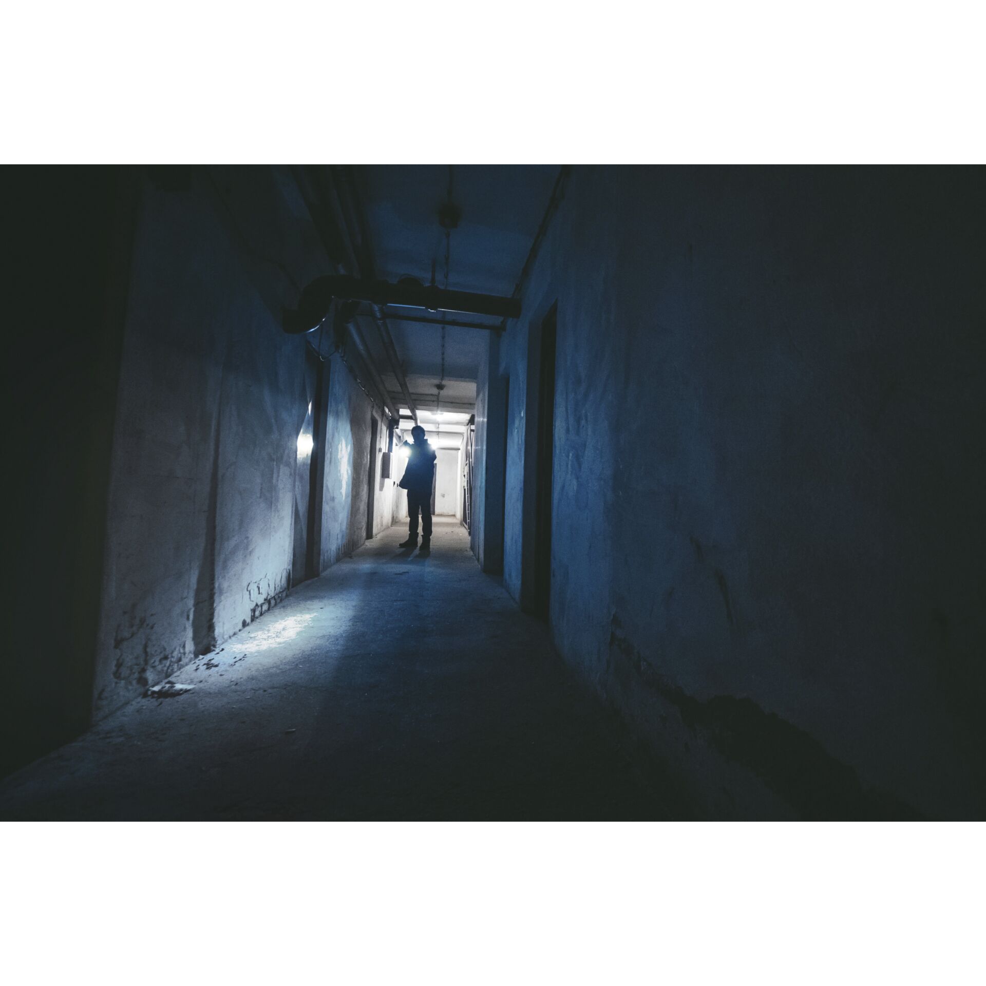 Ansmann LED torcia tasc. Daily Use 150B incl. 2xAA 1600-0428