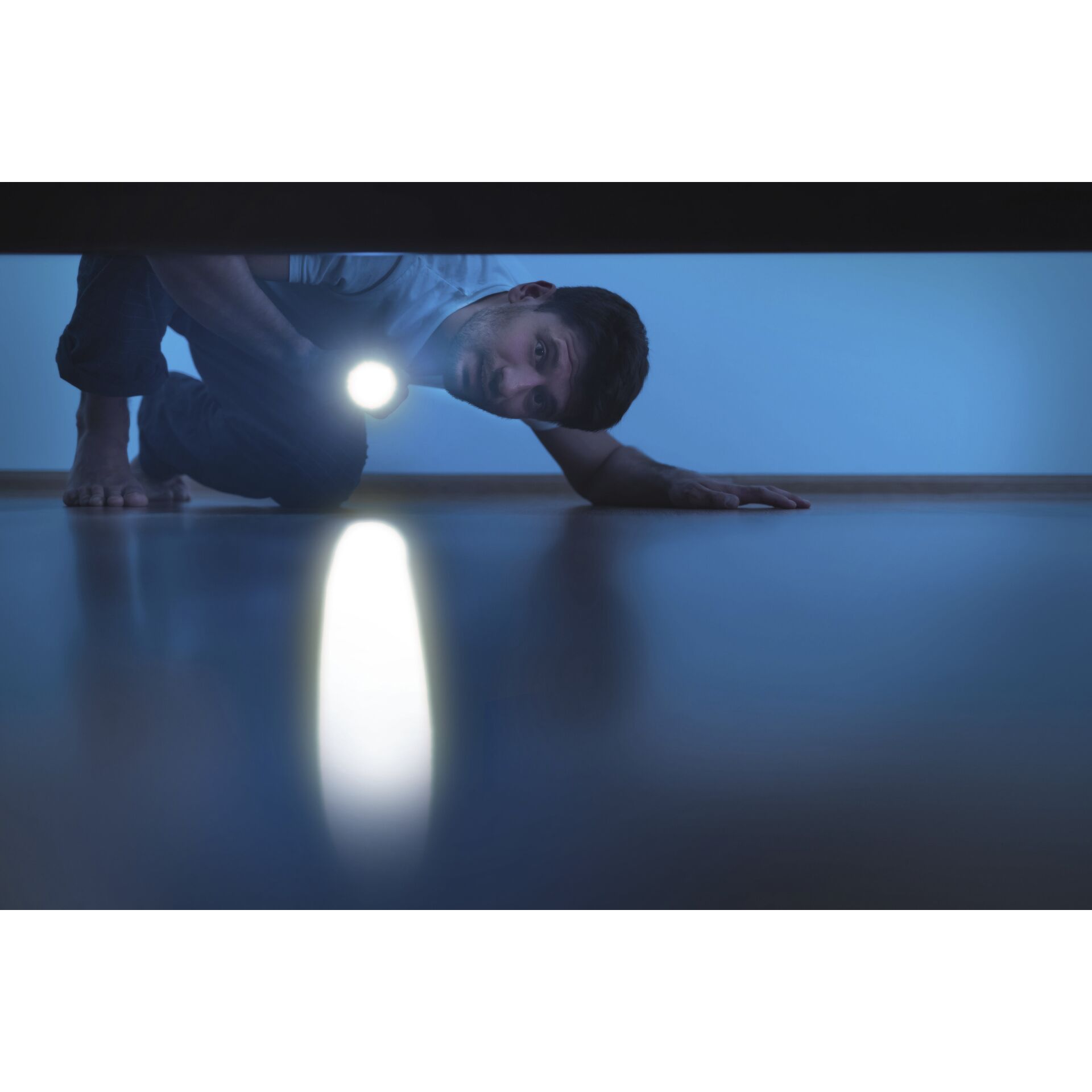 Ansmann LED torcia tasc. Daily Use 150B incl. 2xAA 1600-0428