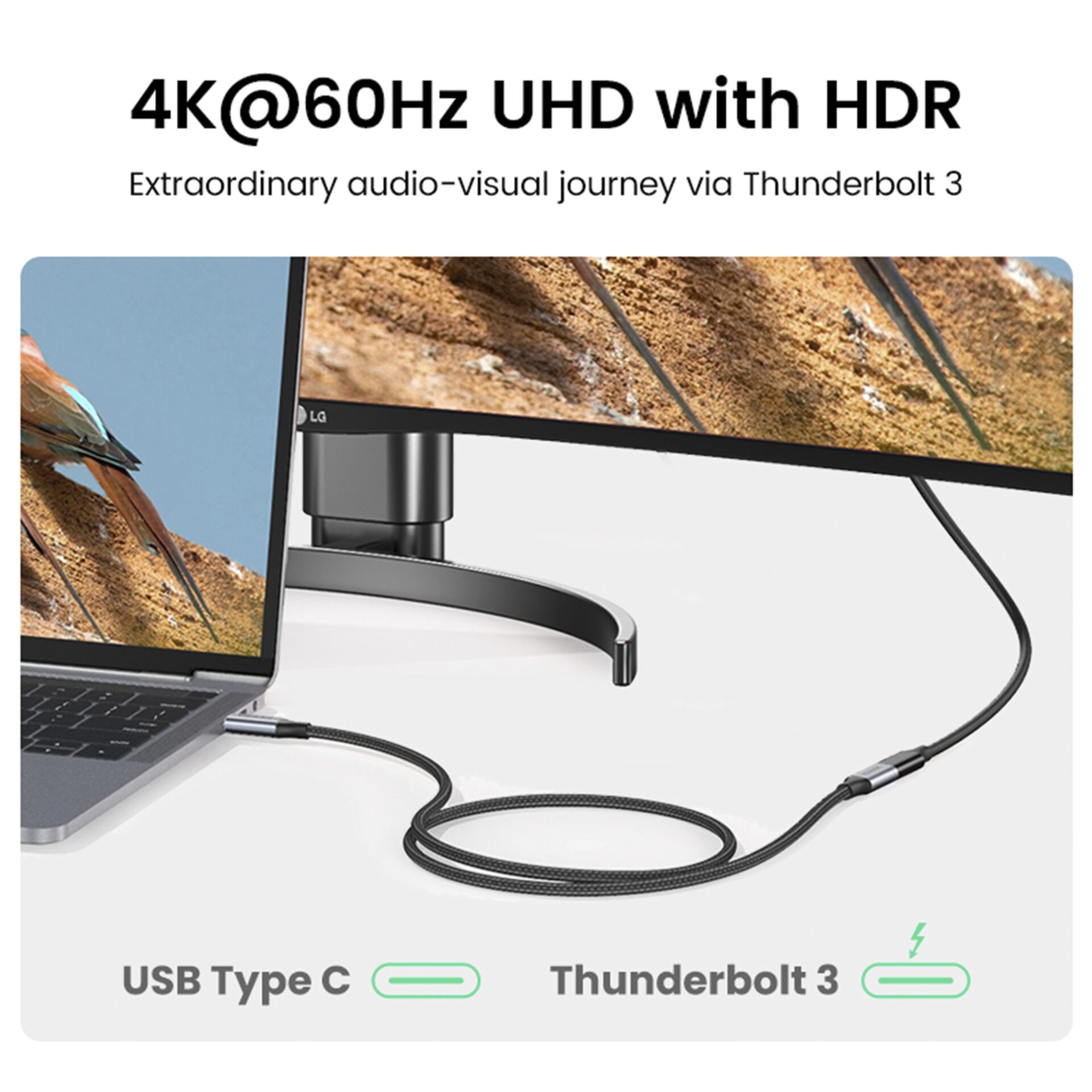 UGREEN USB-C 3.1 cavo estens.