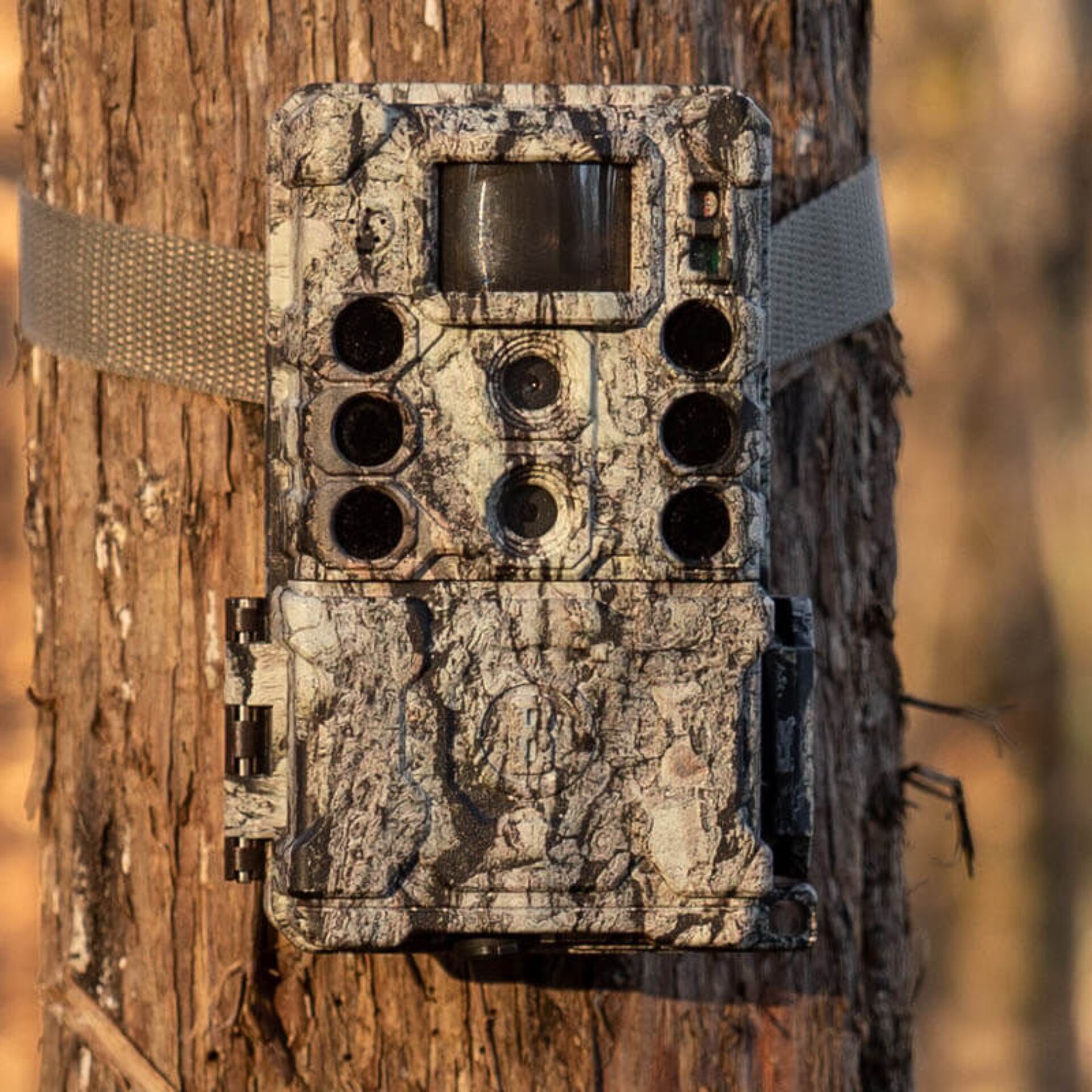 Bushnell Wildkamera 32MP Core DS 4K camo