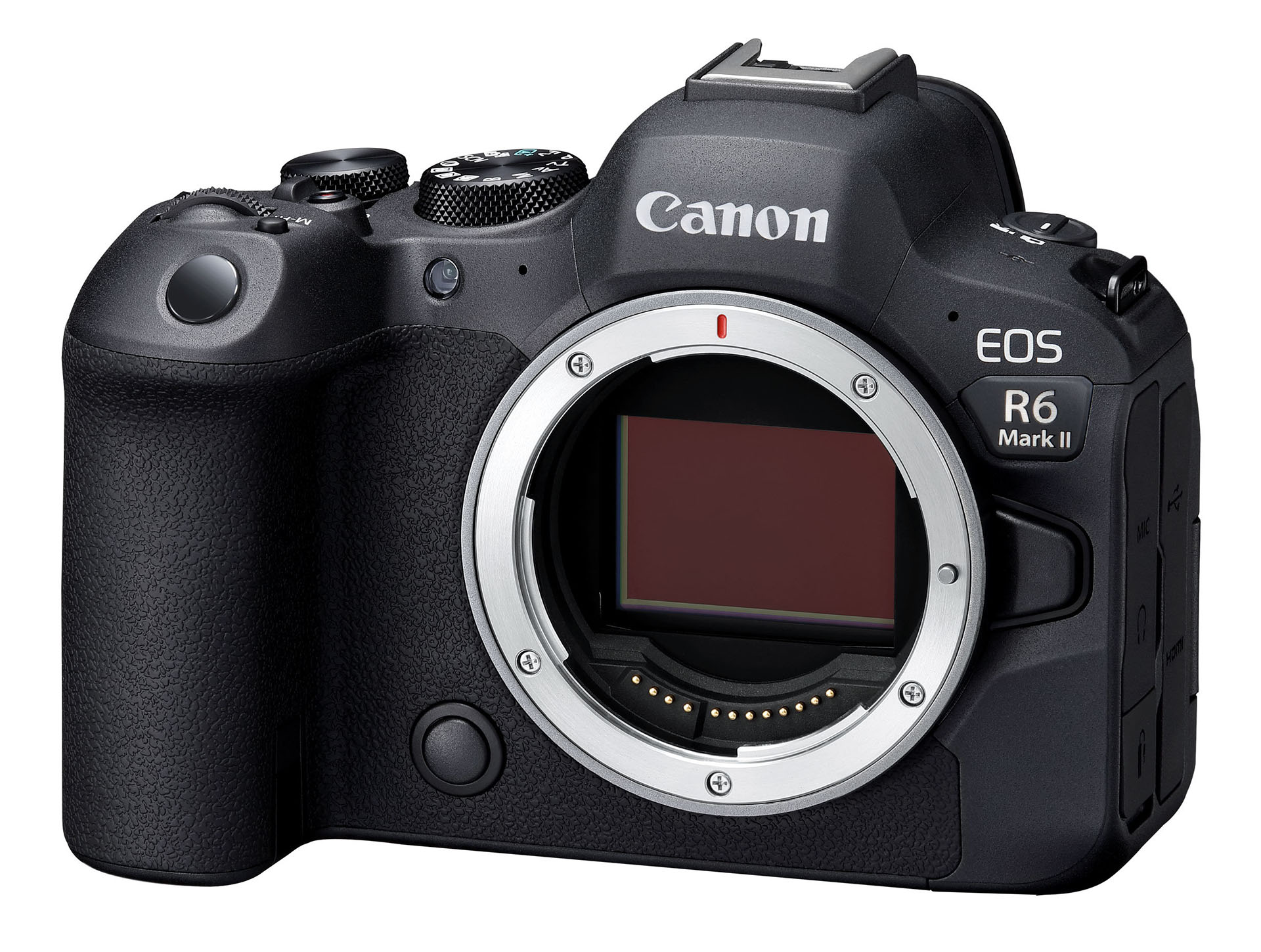 Canon EOS R6 Mark II + RF 24-105 F4.0/7.1 IS STM