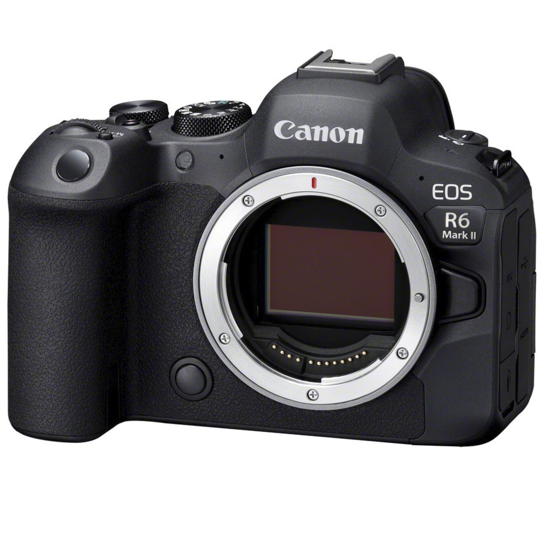 Canon EOS R6 Mark II Body