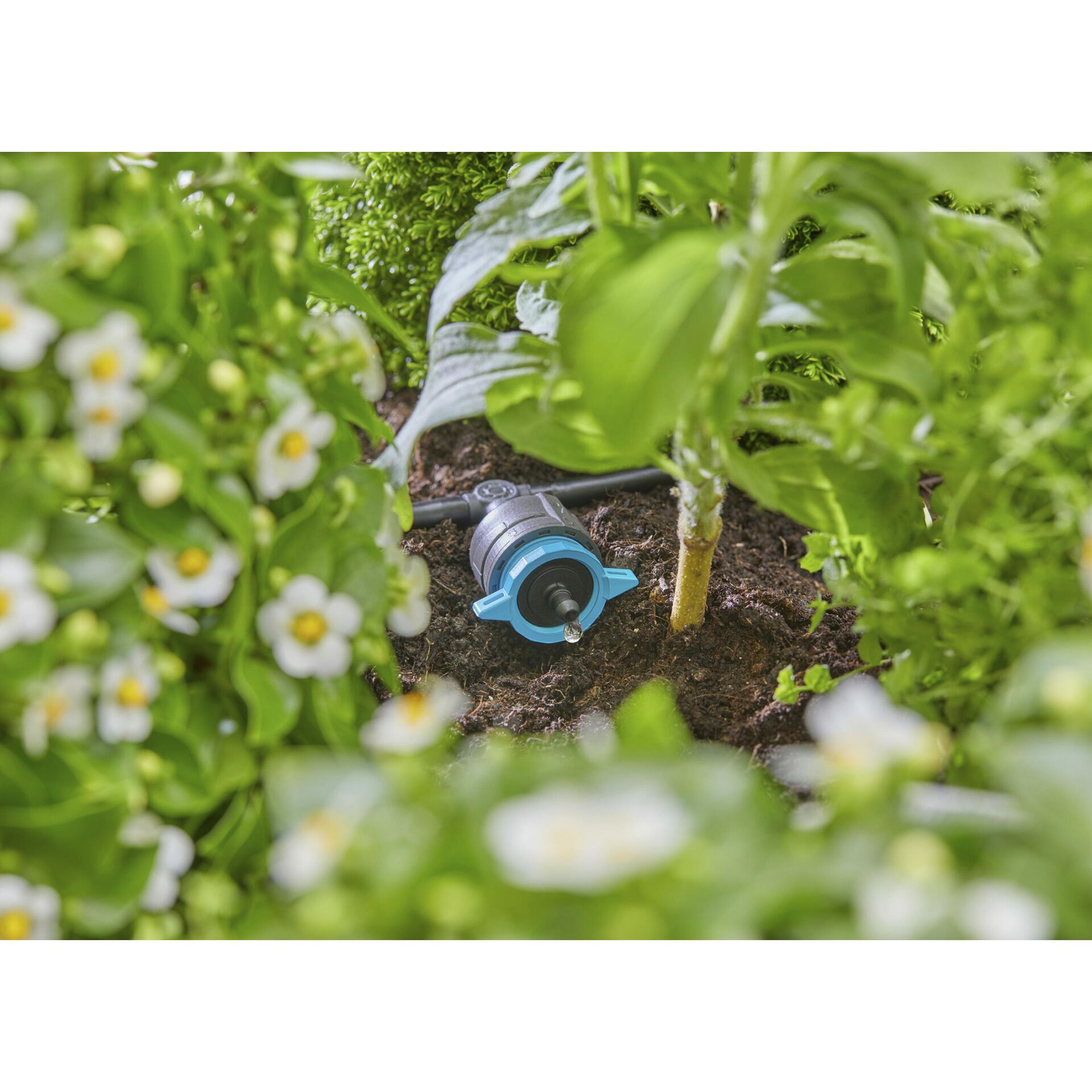 Gardena Micro-Drip-System  Kit aiuola rialz./aiuola (35 pian