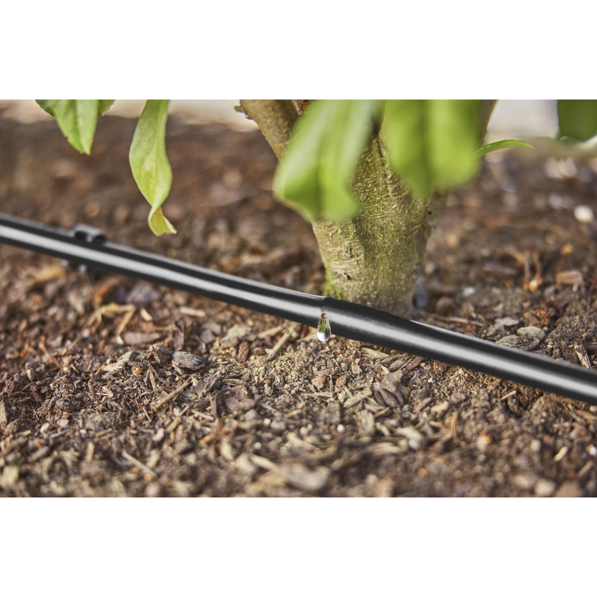 Gardena Micro-Drip-System tubo 1,6 l/h, 25m 2