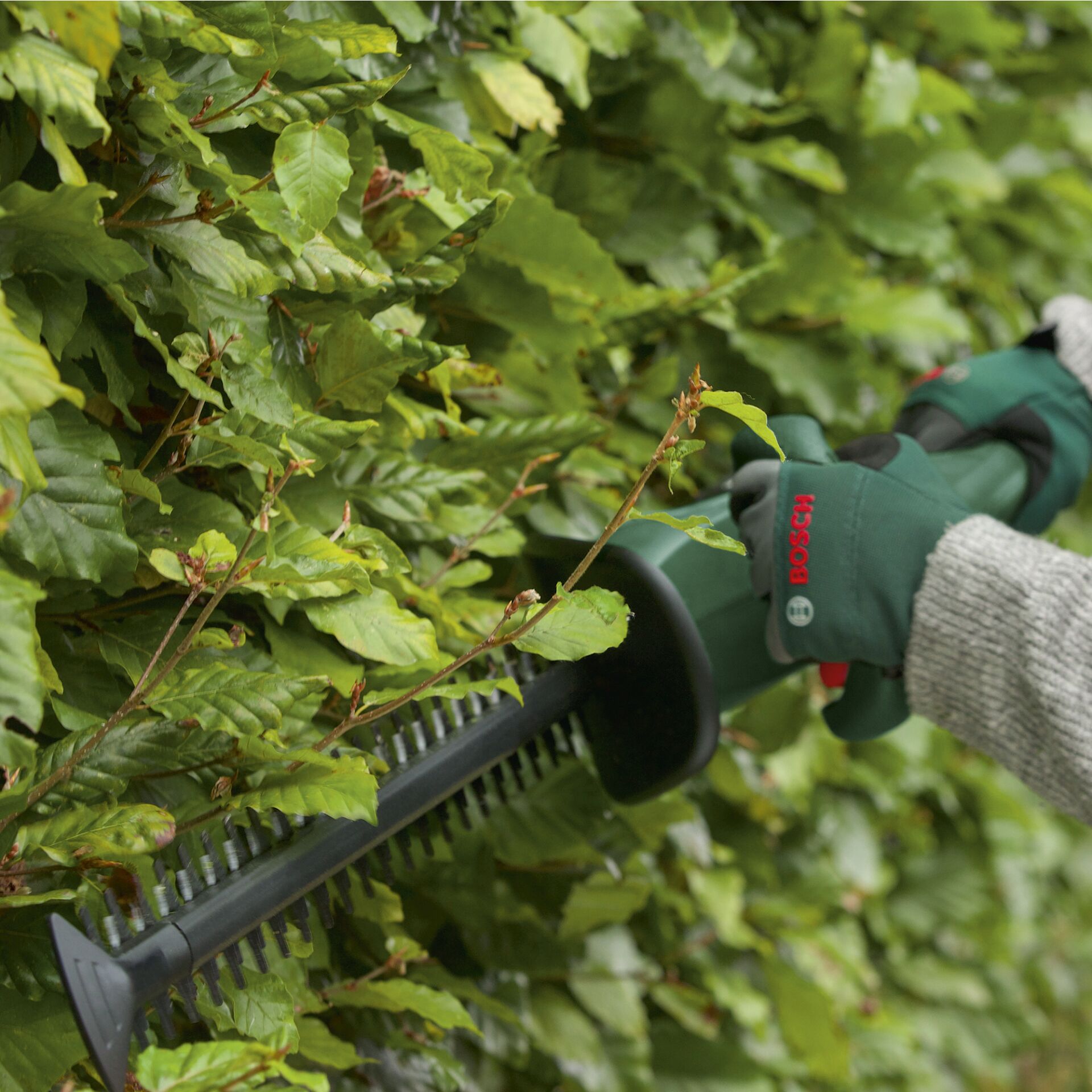 Bosch EasyHedgeCut 18V-52-13 Tagliasiepi a batteria solo