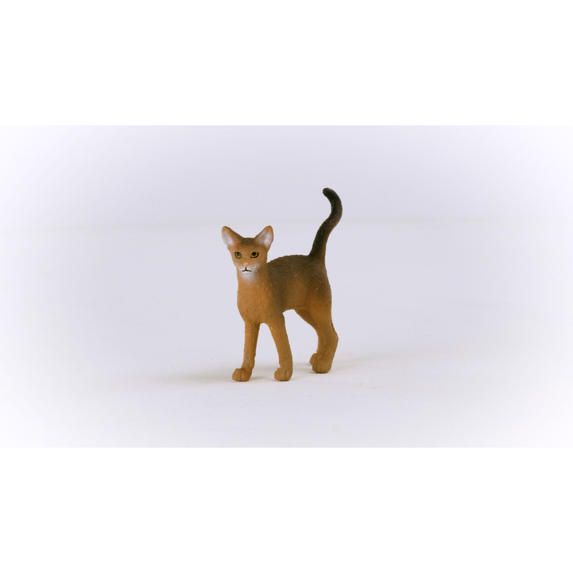 Schleich Farm World Abessinierkatze            13964