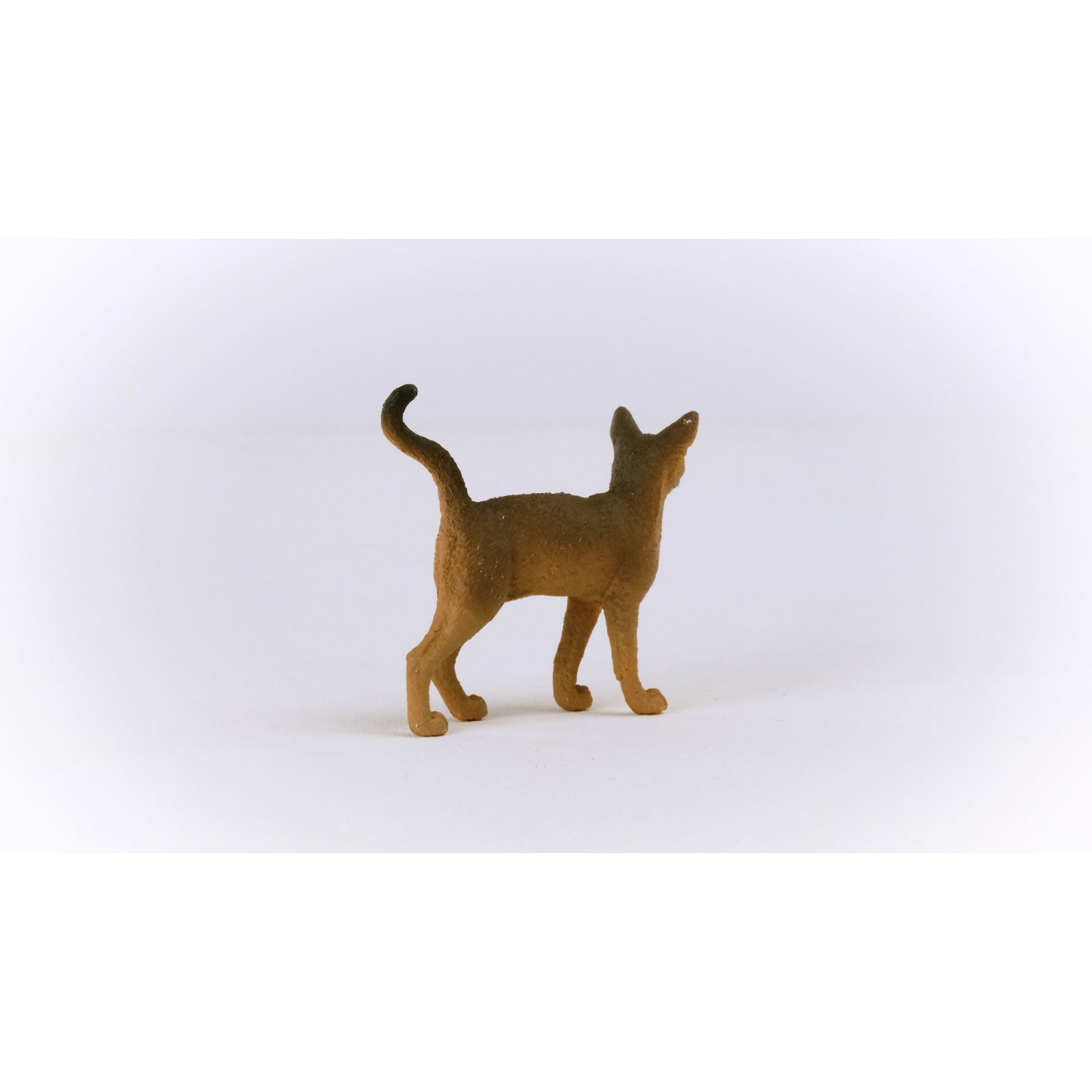 Schleich Farm World Abessinierkatze            13964