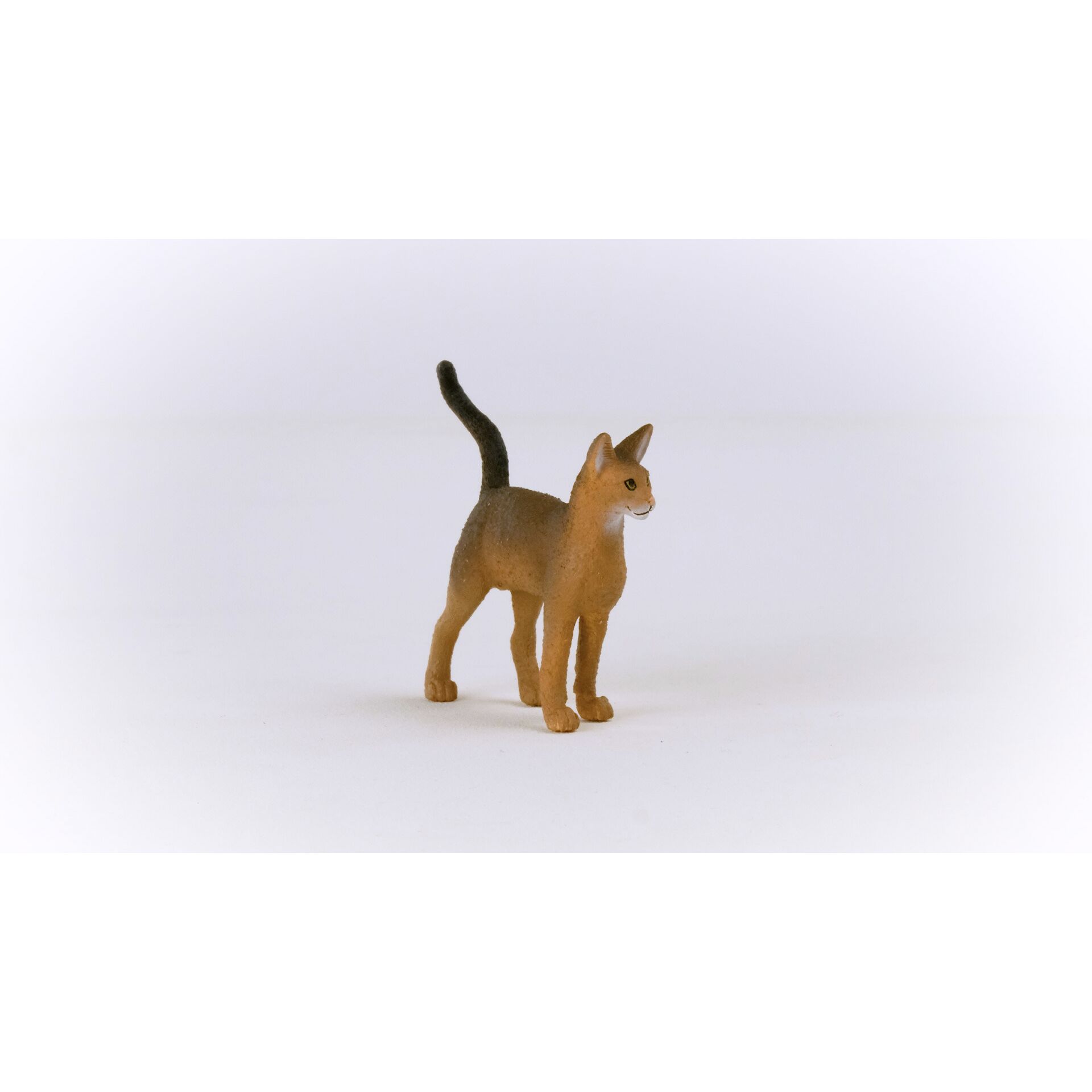 Schleich Farm World Abessinierkatze            13964