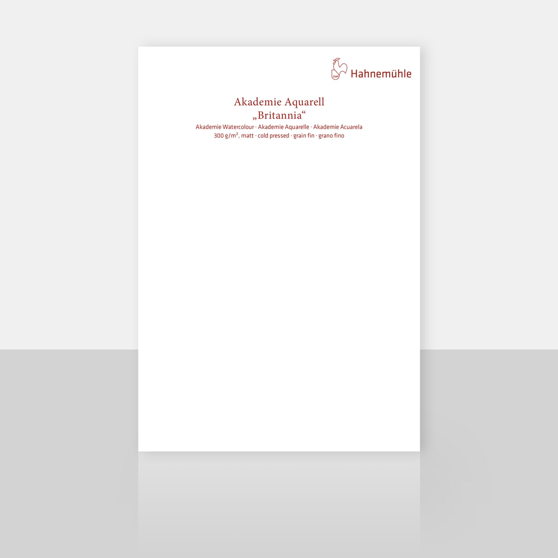 Hahnemühle Britannia Watercolour cold pressed 24x32cm 300g 1