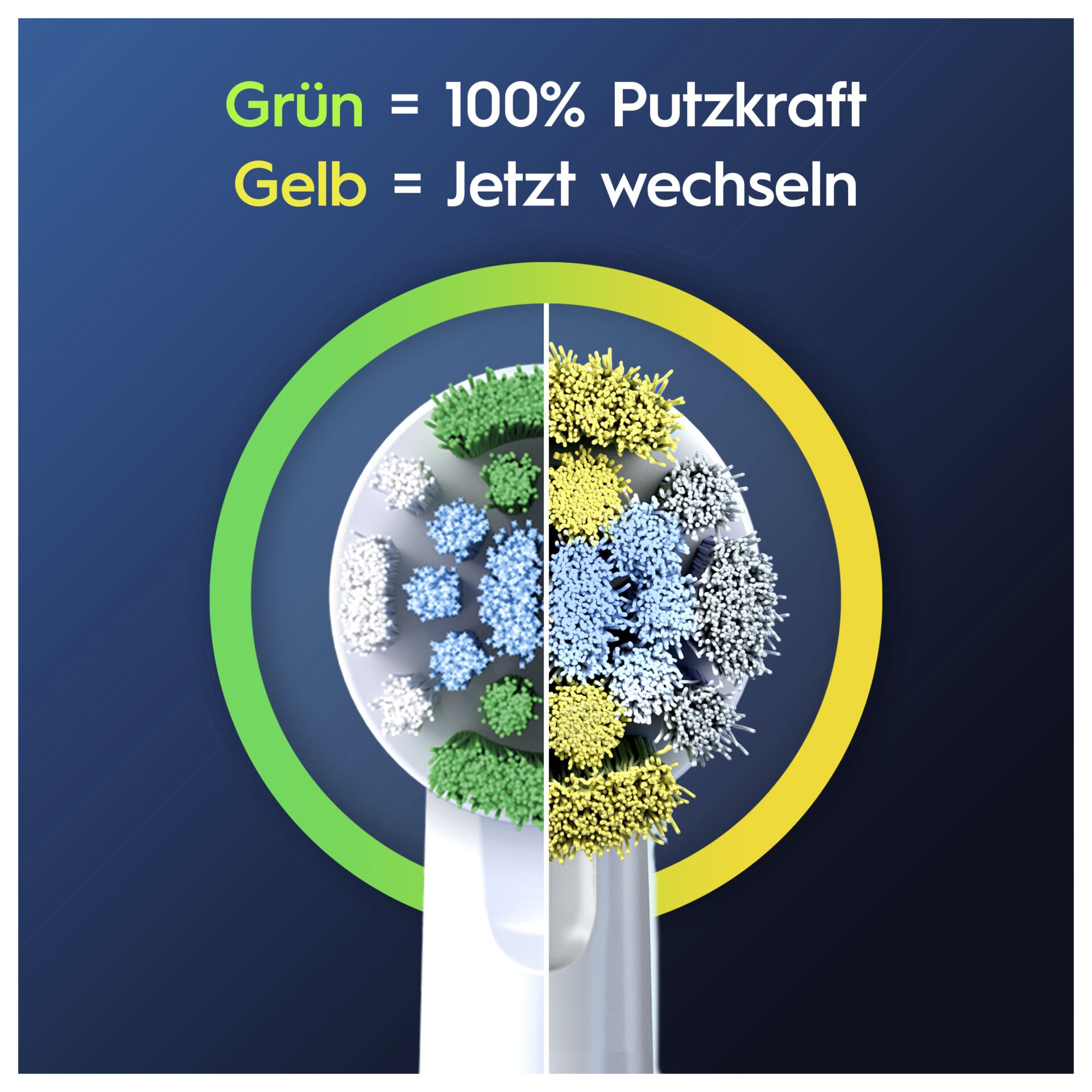 Oral-B testine di ricambio Pro Precision Clean 8pz