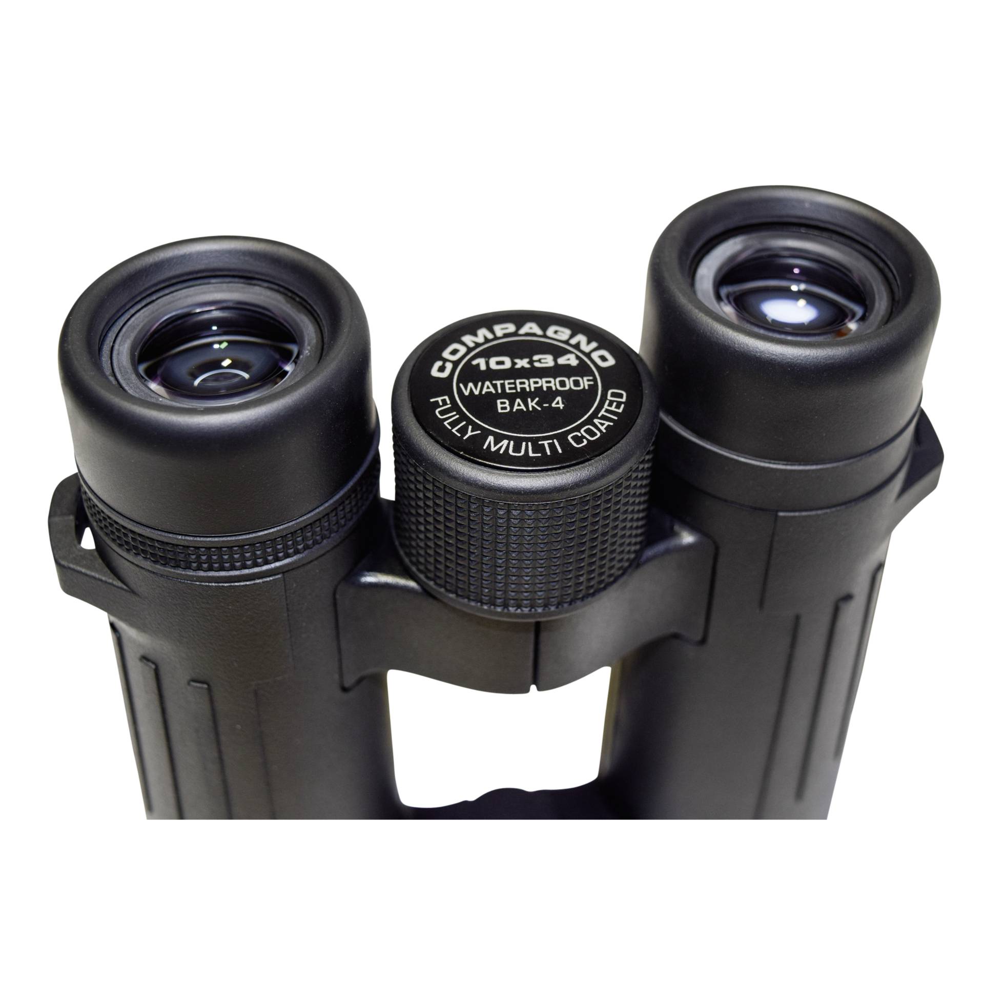 Braun Compagno 10x34 WP