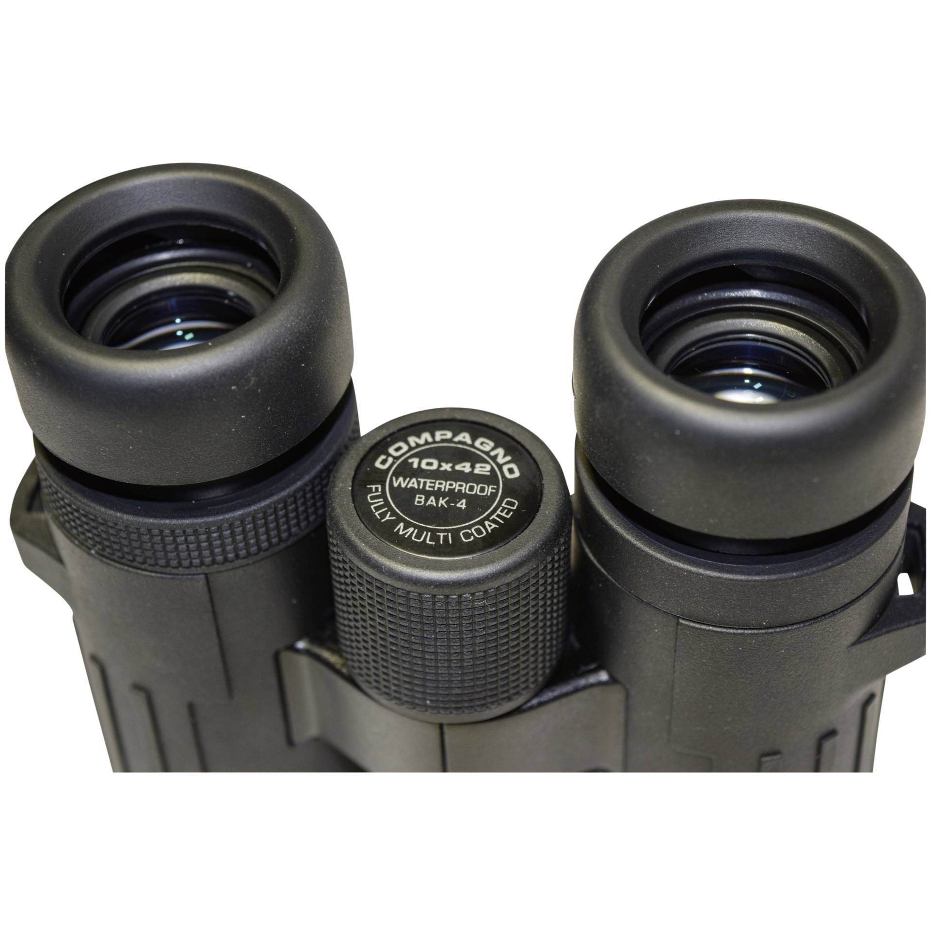 Braun Compagno 10x42 WP