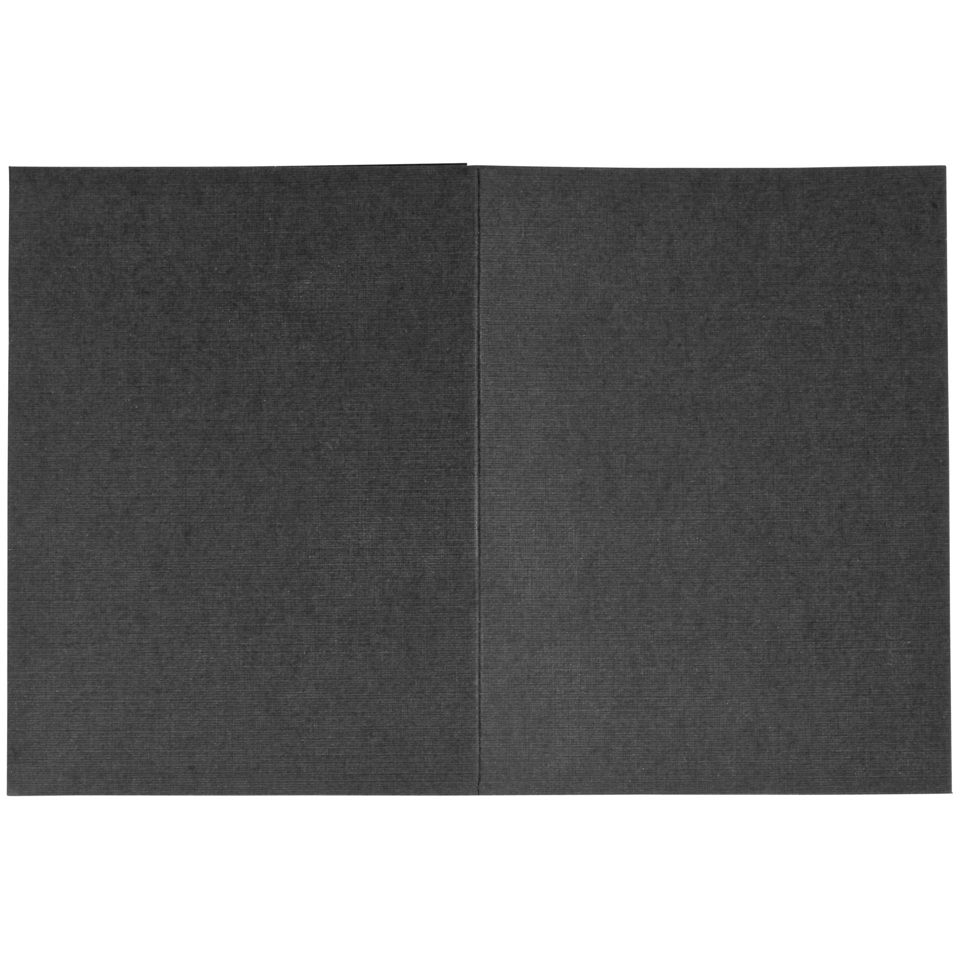 1x100 Daiber cartoncin.portafoto Profi-Line  bis 7x10 cm ner