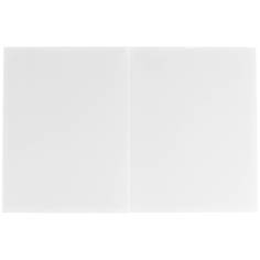 1x100 Daiber cartoncin.portafoto Profi-Line  10x15 bianco op 2