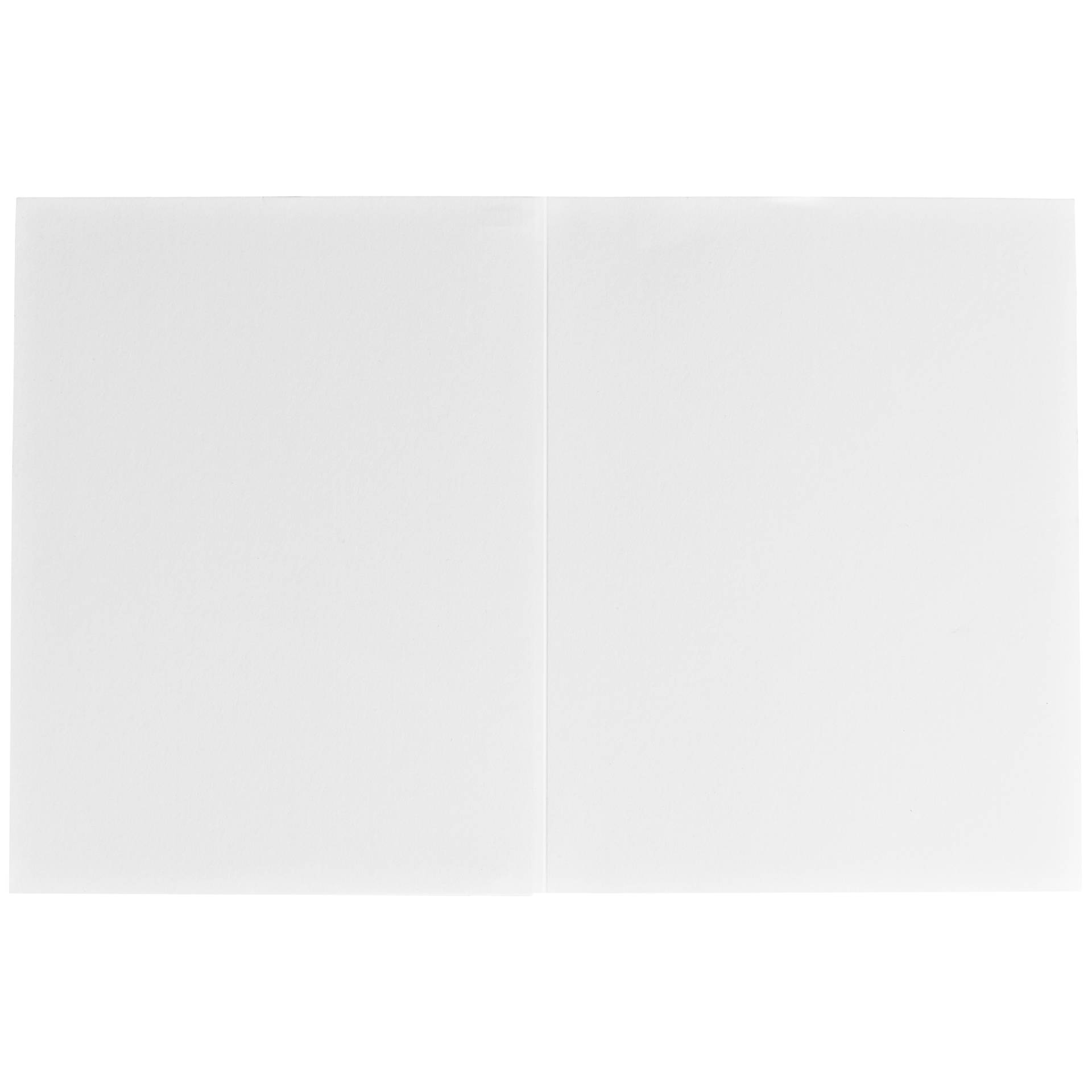 1x100 Daiber cartoncin.portafoto Profi-Line  10x15 bianco op