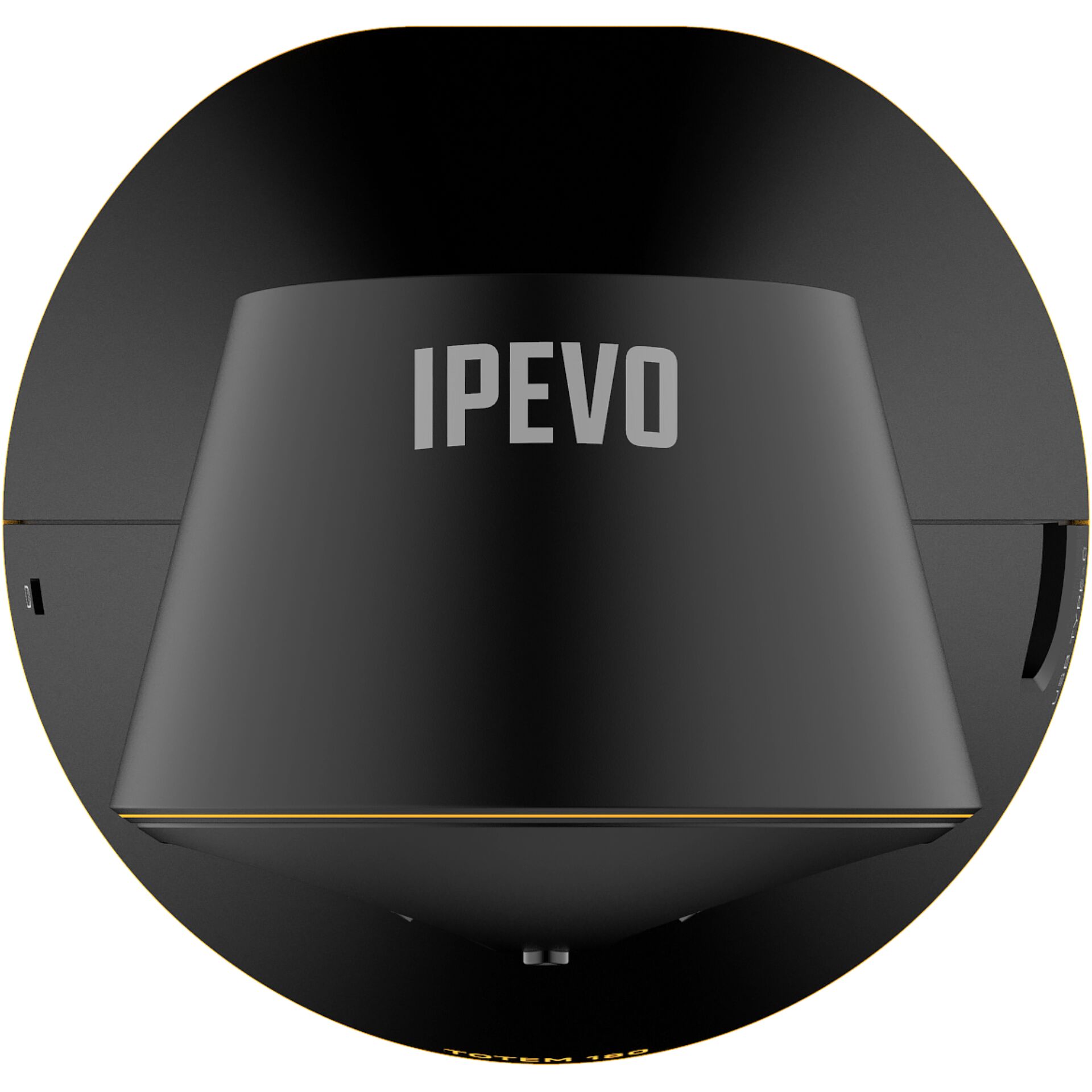 IPEVO TOTEM 180 gradi 4K telecamera per videoconferenze
