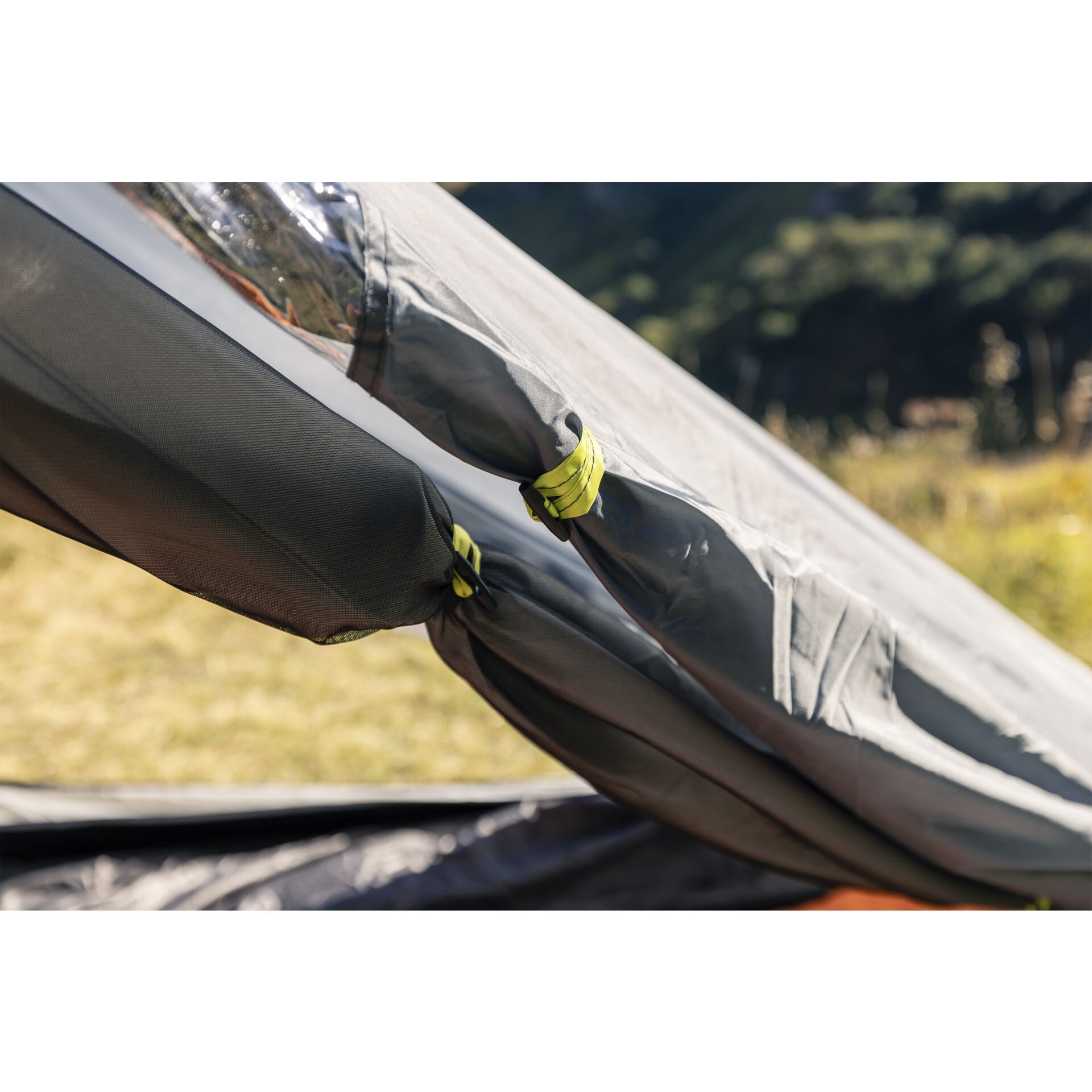 Coleman Darwin 2 Tent