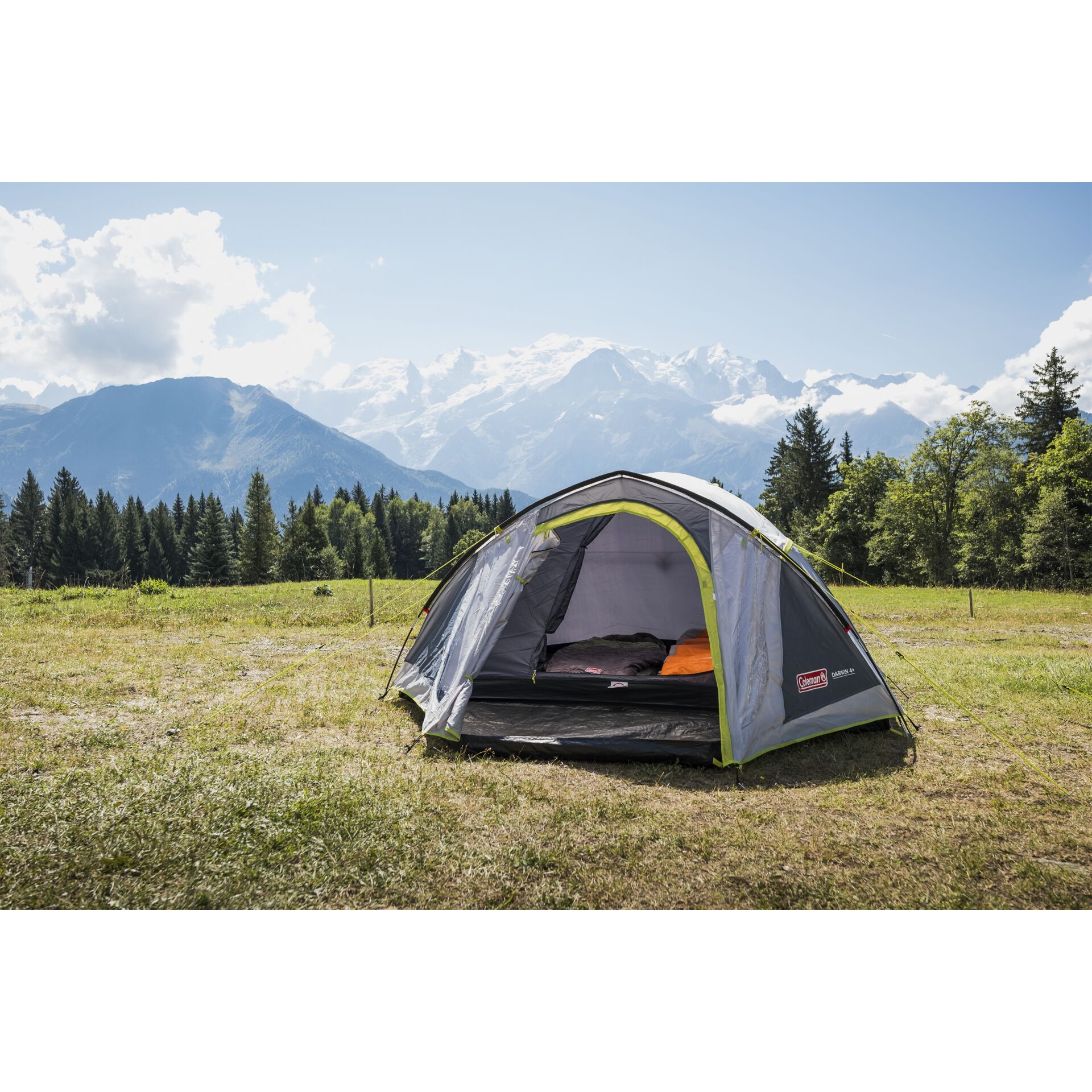 Coleman Darwin 4 Plus Tent