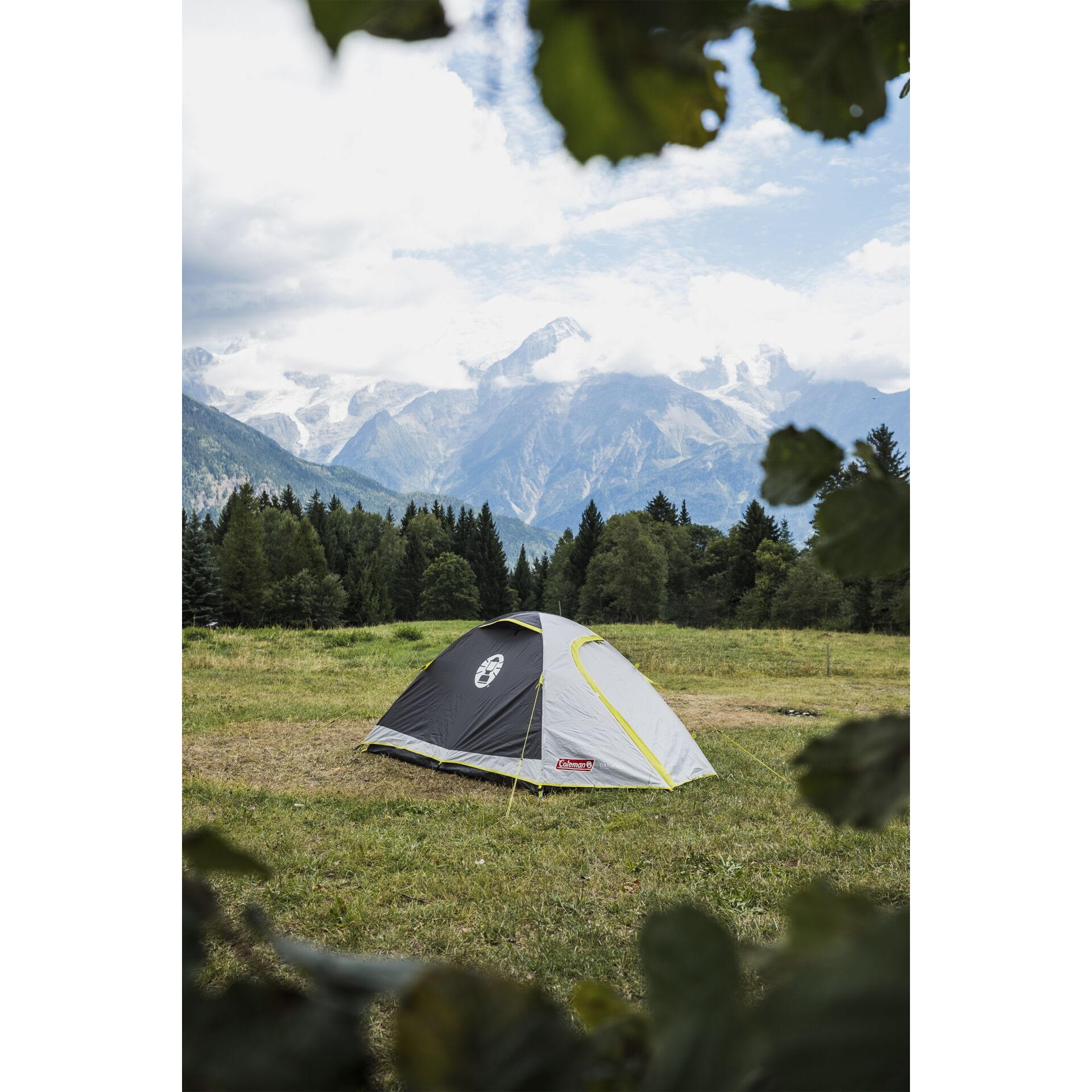Coleman Darwin 4 Plus Tent