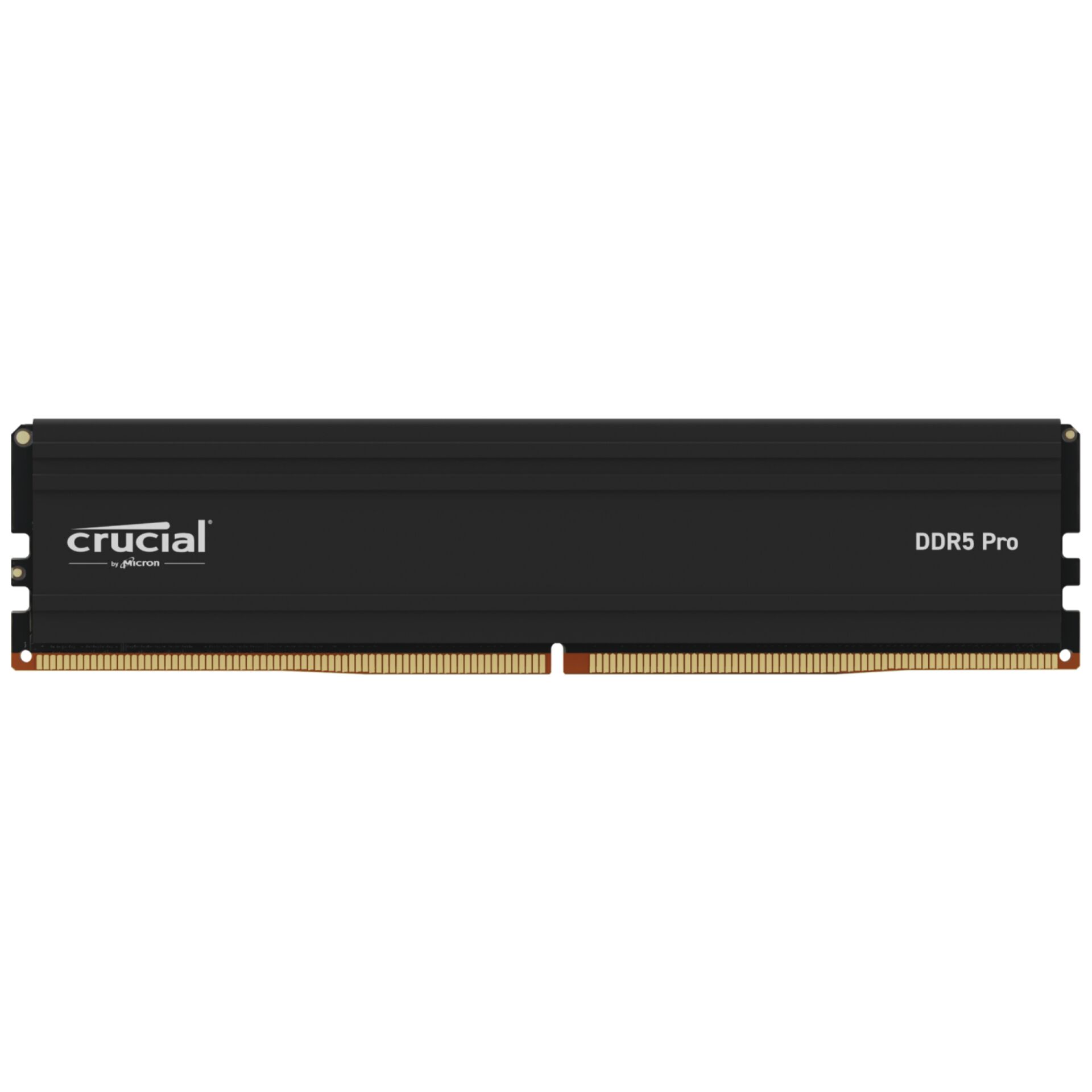 Crucial DDR5-5600           32GB UDIMM CL46 (16Gbit)