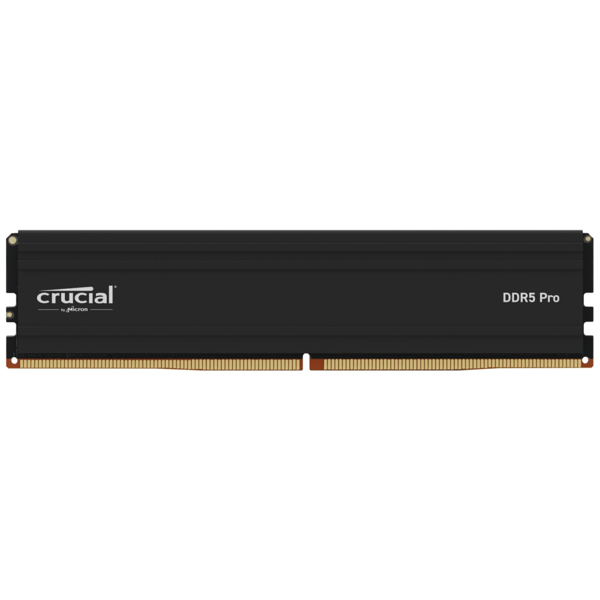 Crucial DDR5-5600           48GB UDIMM CL46 (24Gbit)