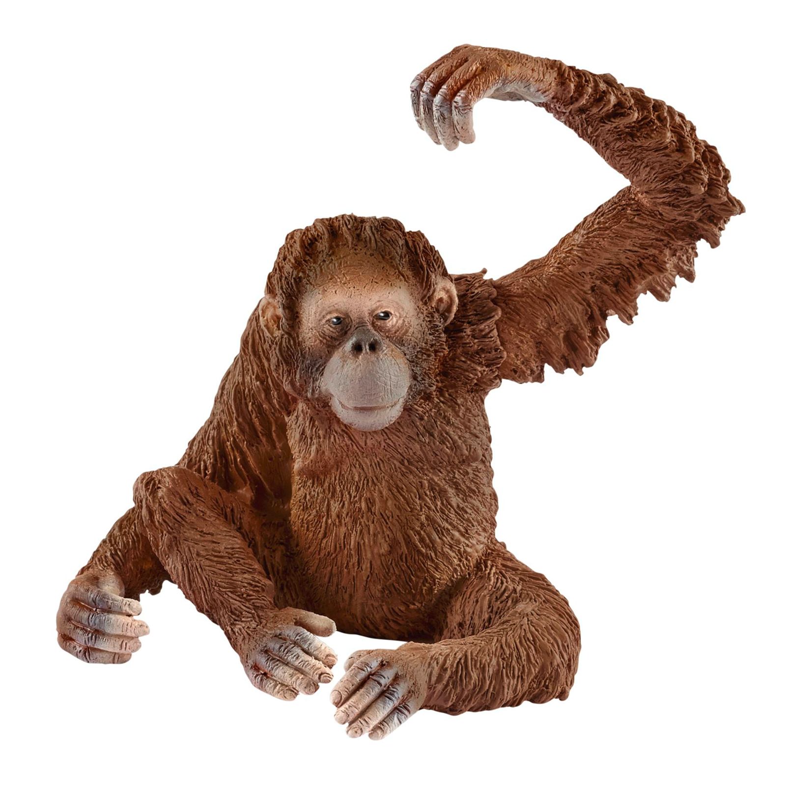 Schleich Wild Life         14775 Orangotango femmina