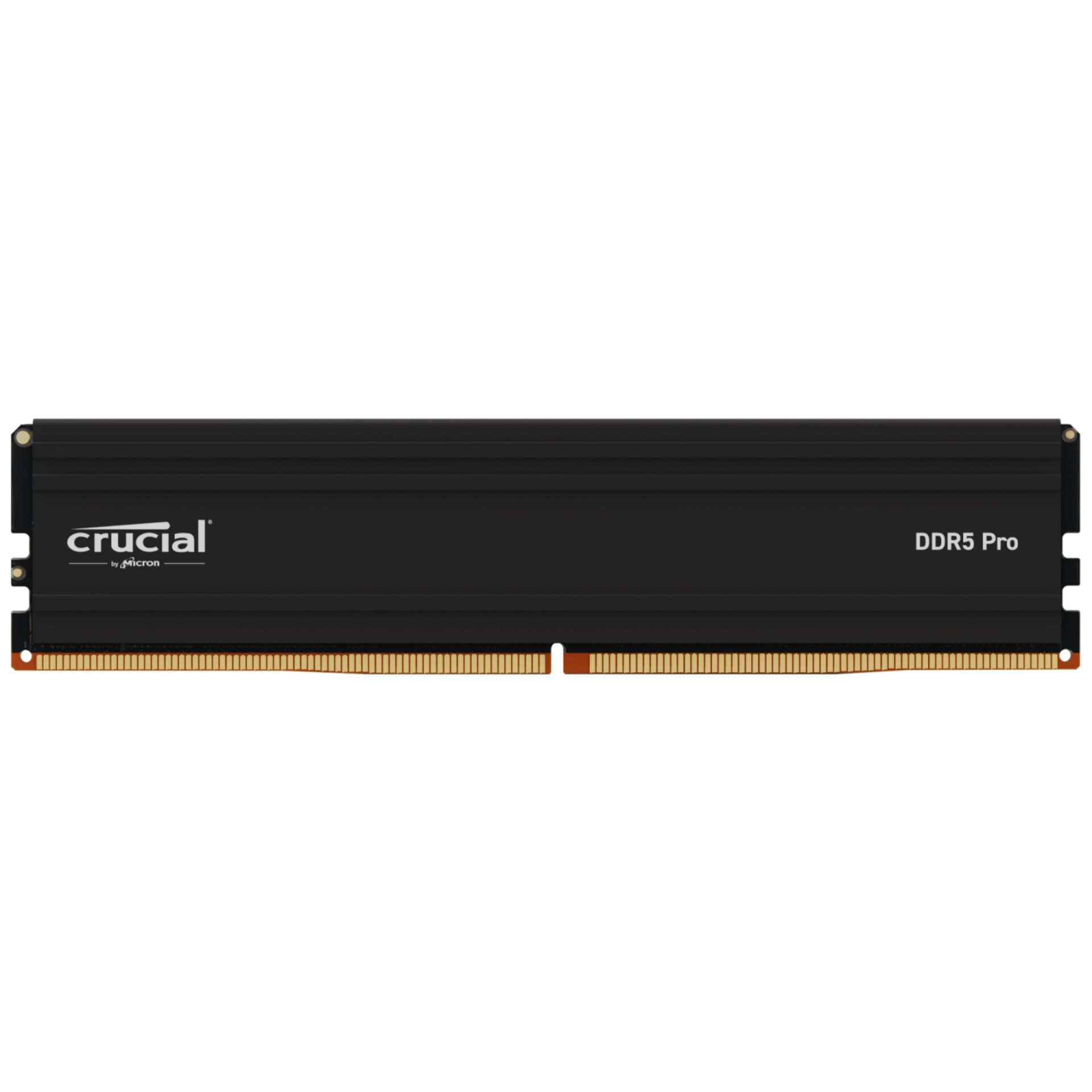 Crucial Pro DDR5-6000       24GB UDIMM CL48 (24Gbit)