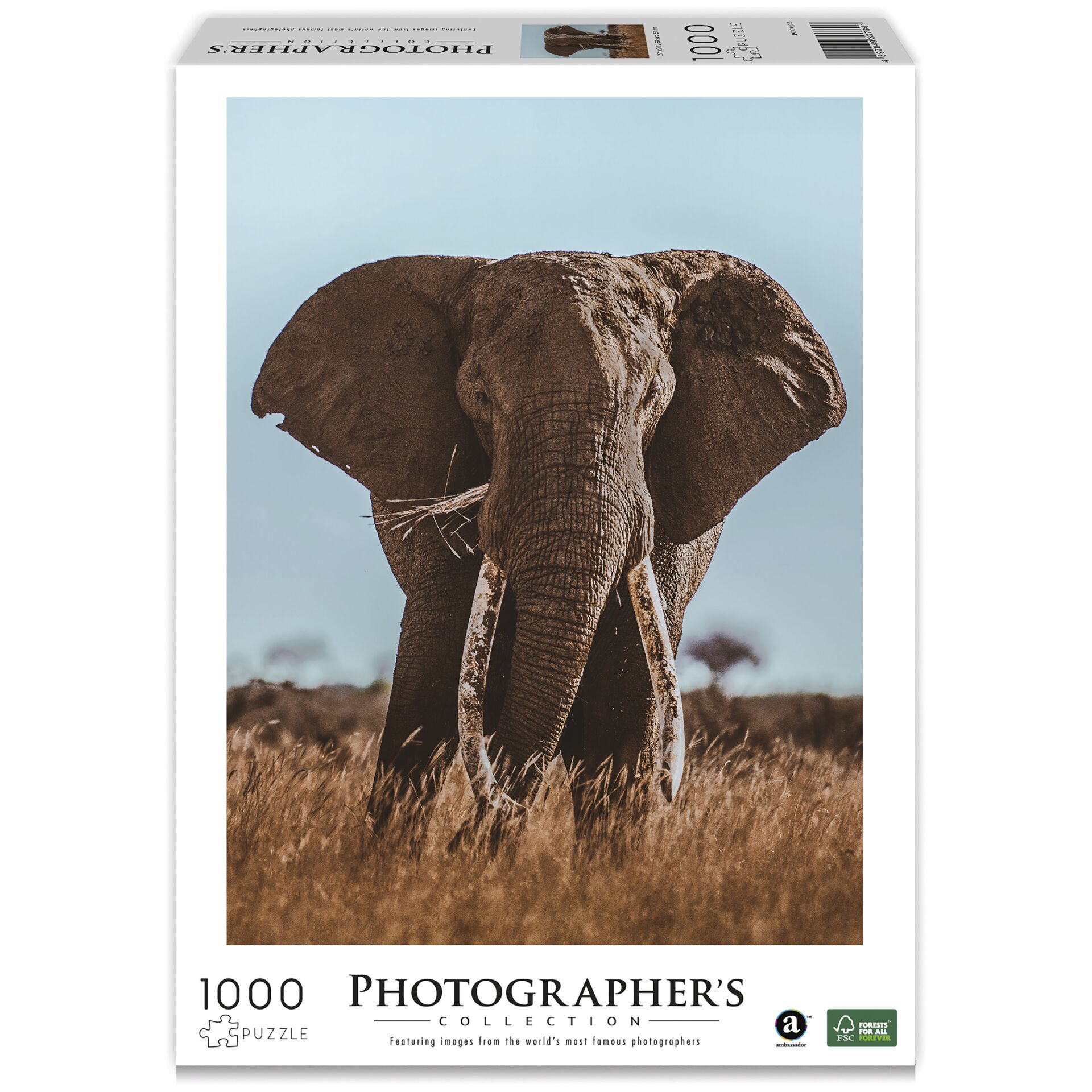 Ambassador elefante africano 1000 pezzi (Donal Boyd)
