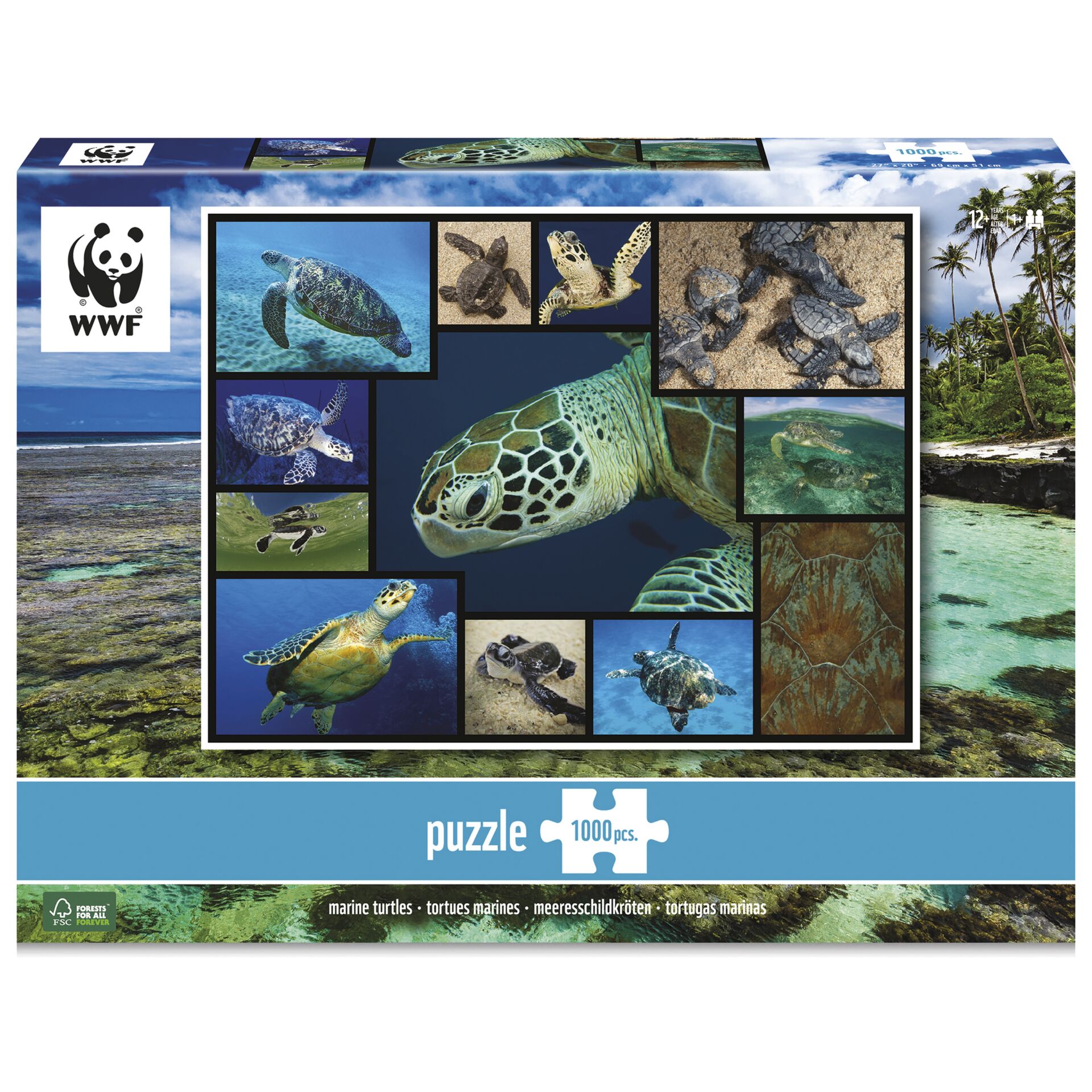 Ambassador tartarughe marine 1000 pezzi