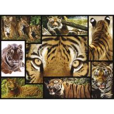 Ambassador Tigre 1000 pezzi 2