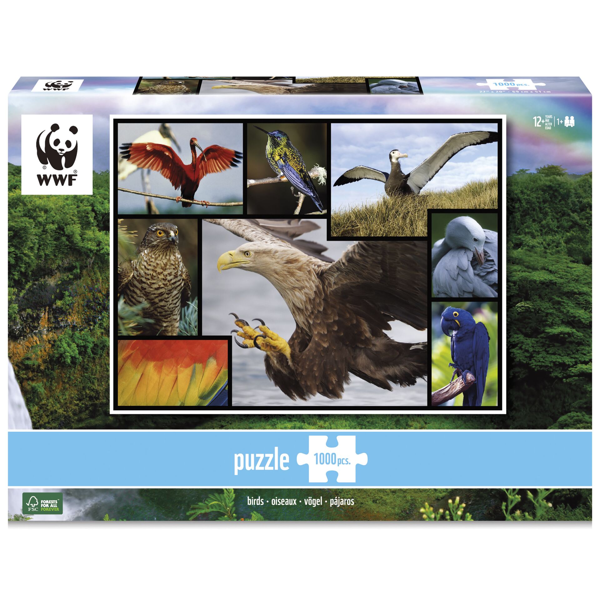 Ambassador uccelli 1000 pezzi