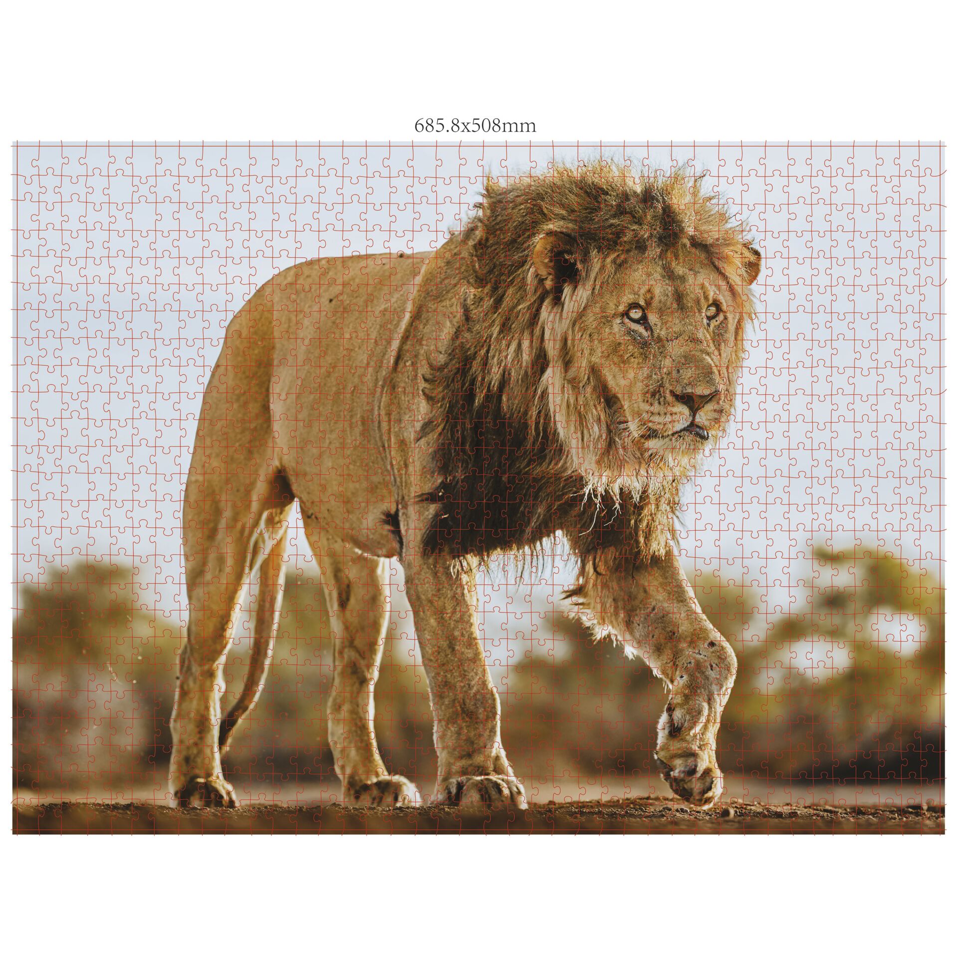 Ambassador animali selvatici 3x1000 pezzi (Donal Boyd)