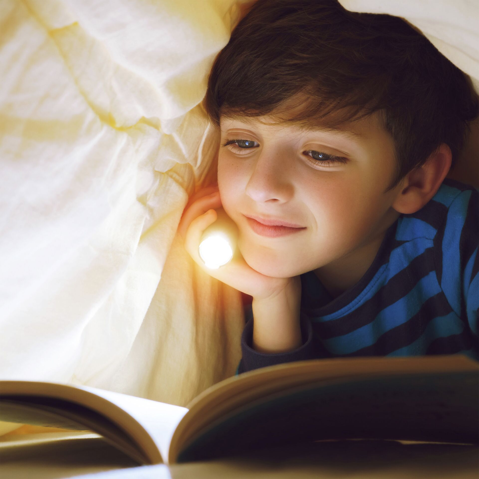 GP torcia elett. C31X  100 Lumen 1 x AA          260GPACT0C3