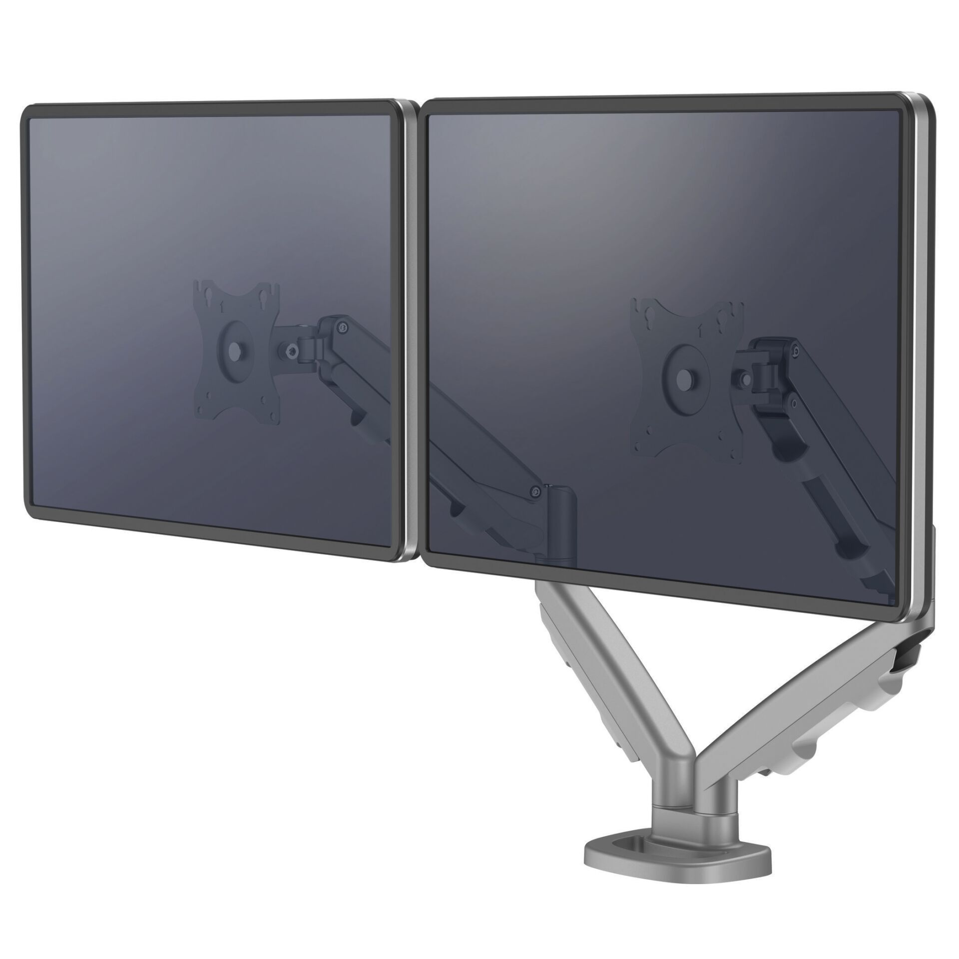 Fellowes Eppa braccio monitor doppio argento