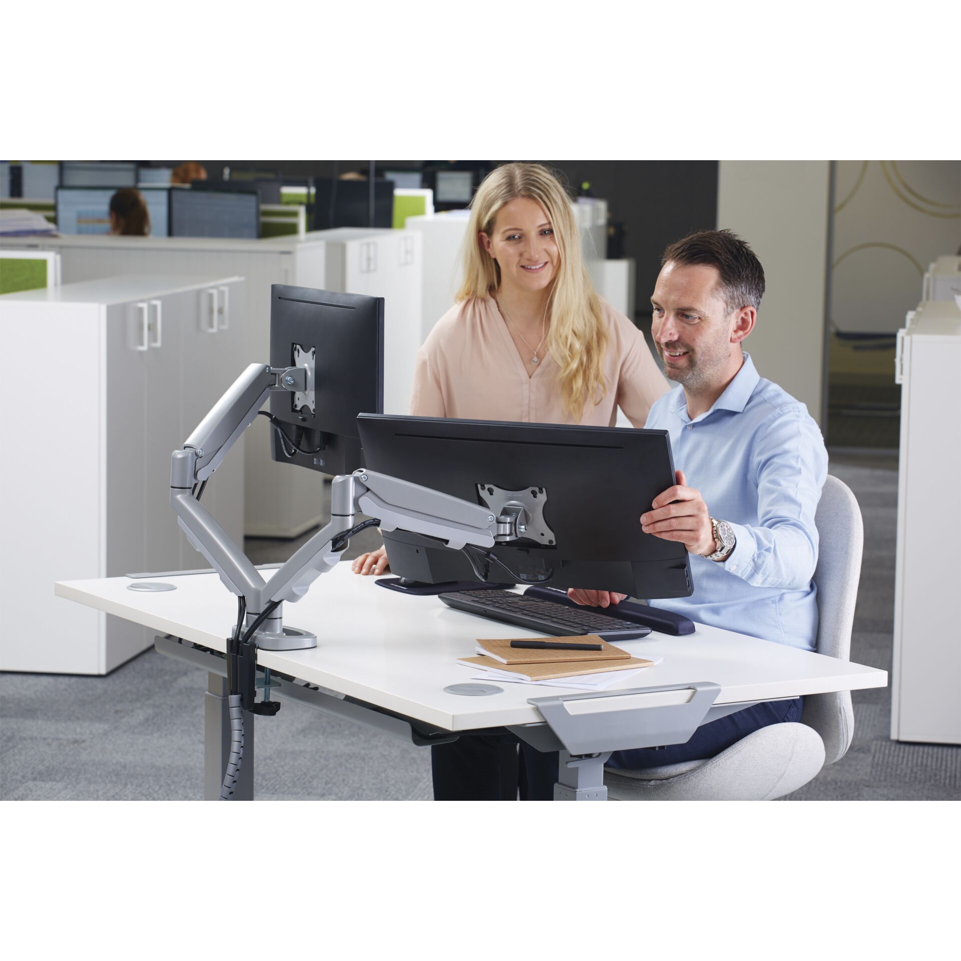 Fellowes Eppa braccio monitor doppio argento