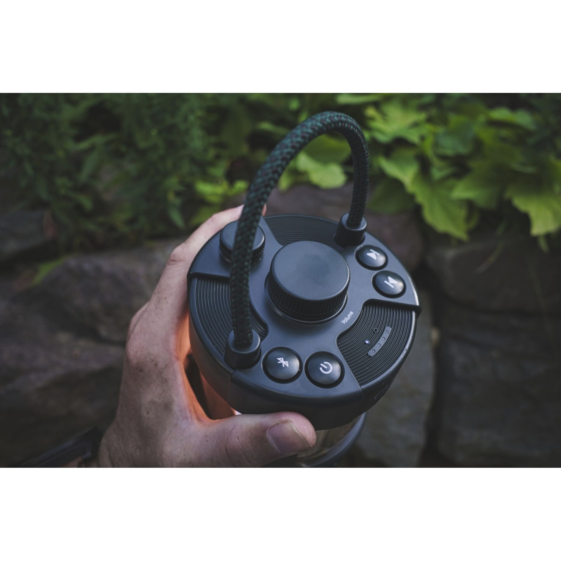 Pure Woodland Glow black