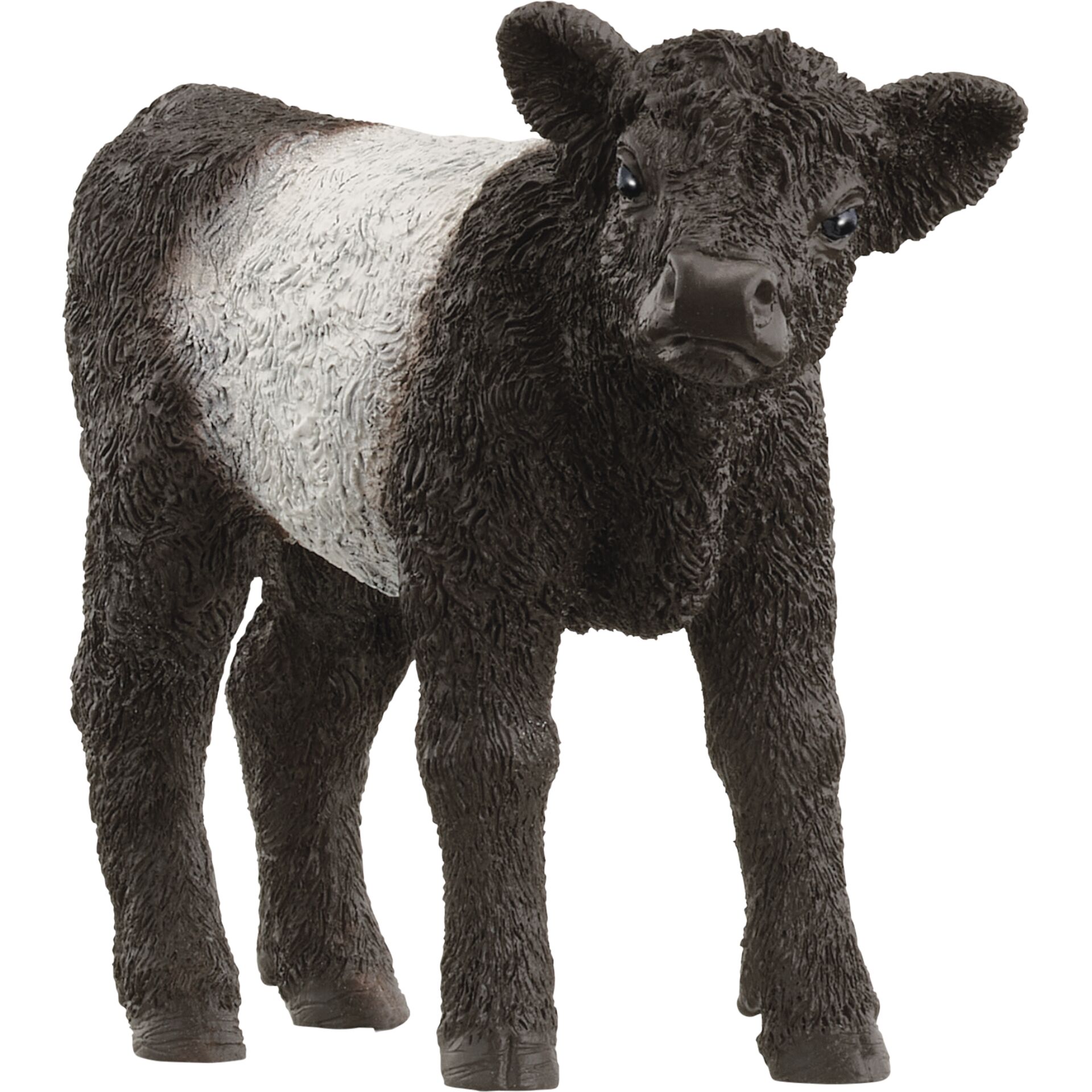 Schleich Farm World Galloway Kalb              13969