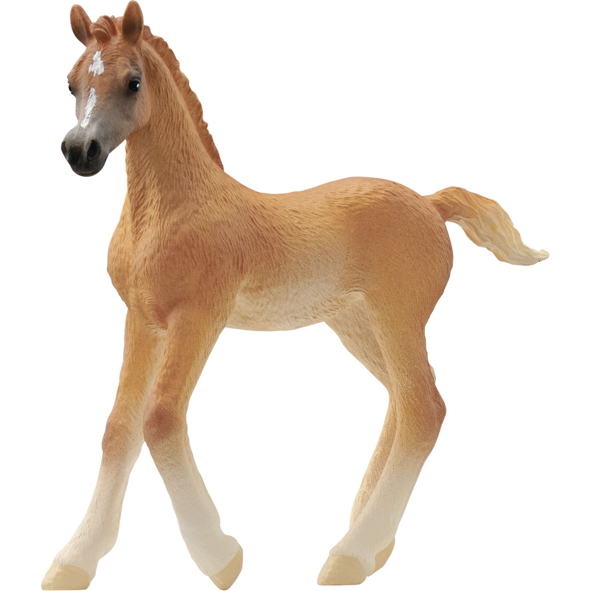 Schleich Horse Club        13984 puledro arabo