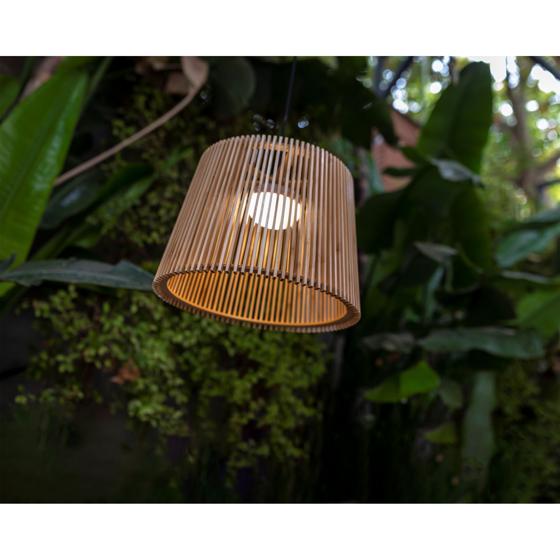 New Garden OKINAWA 40 HANG