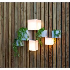 New Garden WALLY 12X12X12 SOLAR WALL 2