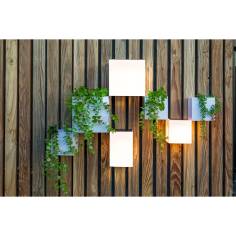 New Garden WALLY 18X18X18 SOLAR WALL 2