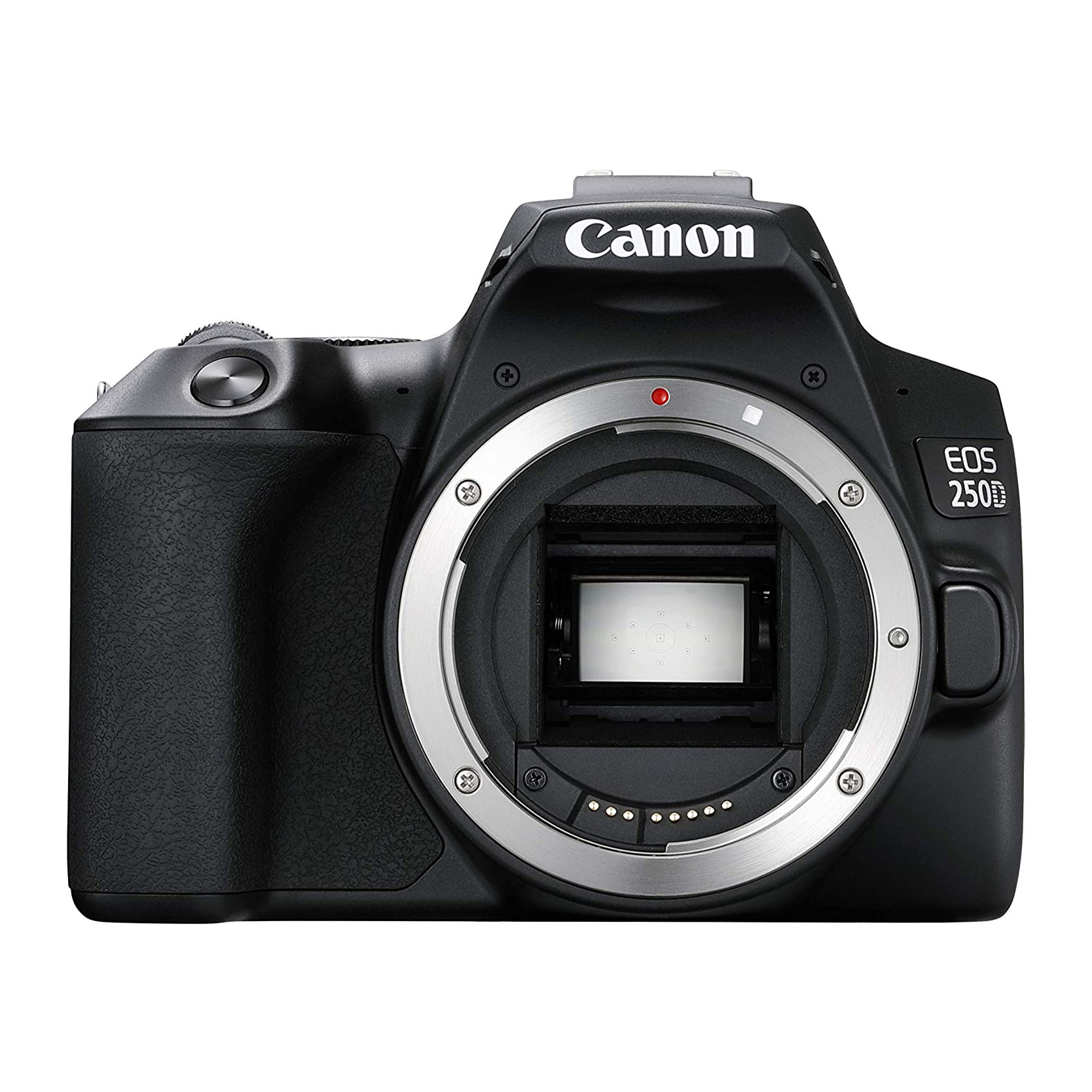 Canon EOS 250D corpo
