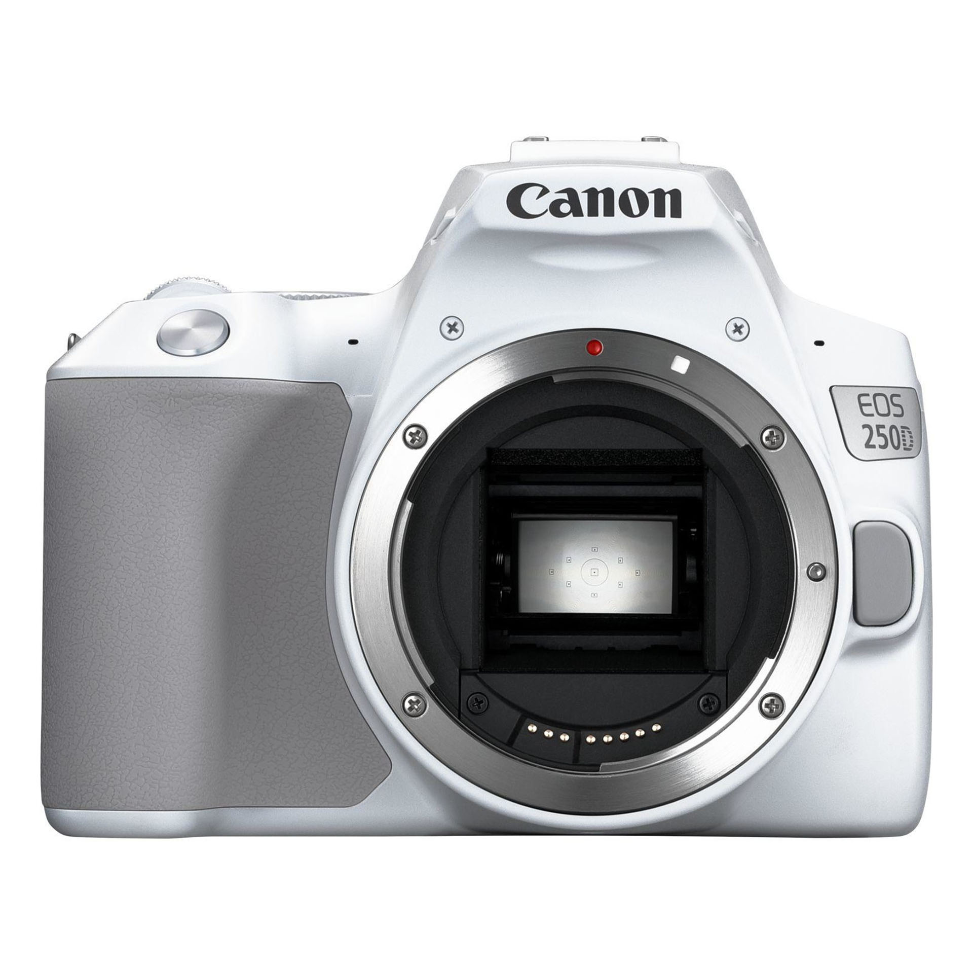 Canon EOS 250D White 18-55 IS STM