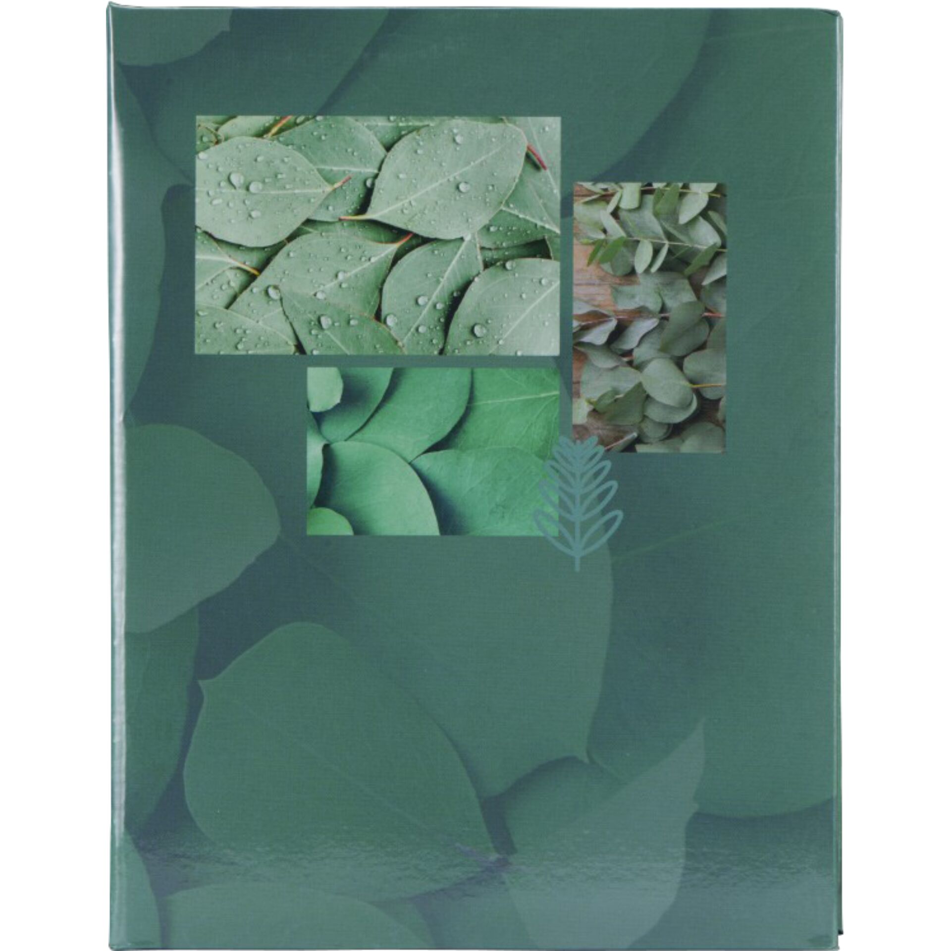 Hama Memo  Singo II        10x15 100 foto foglie 7633