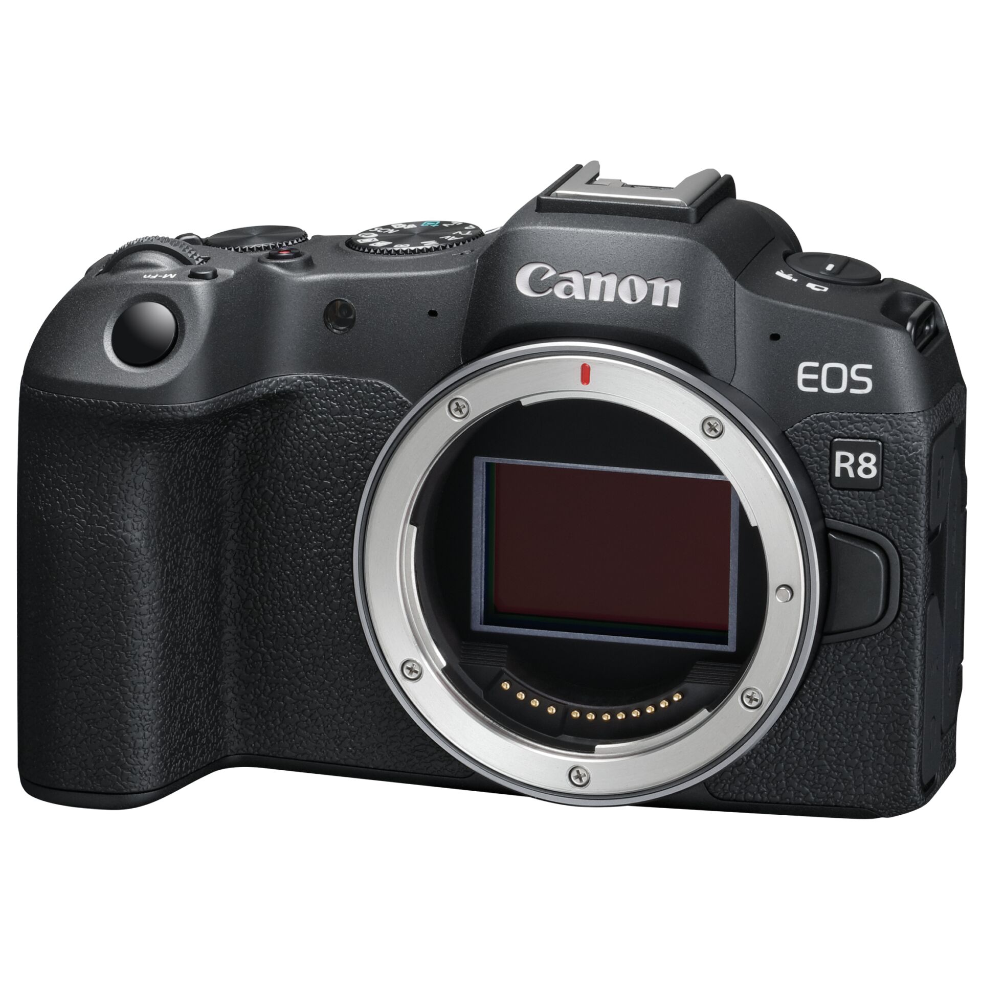 Canon EOS R8 corpo