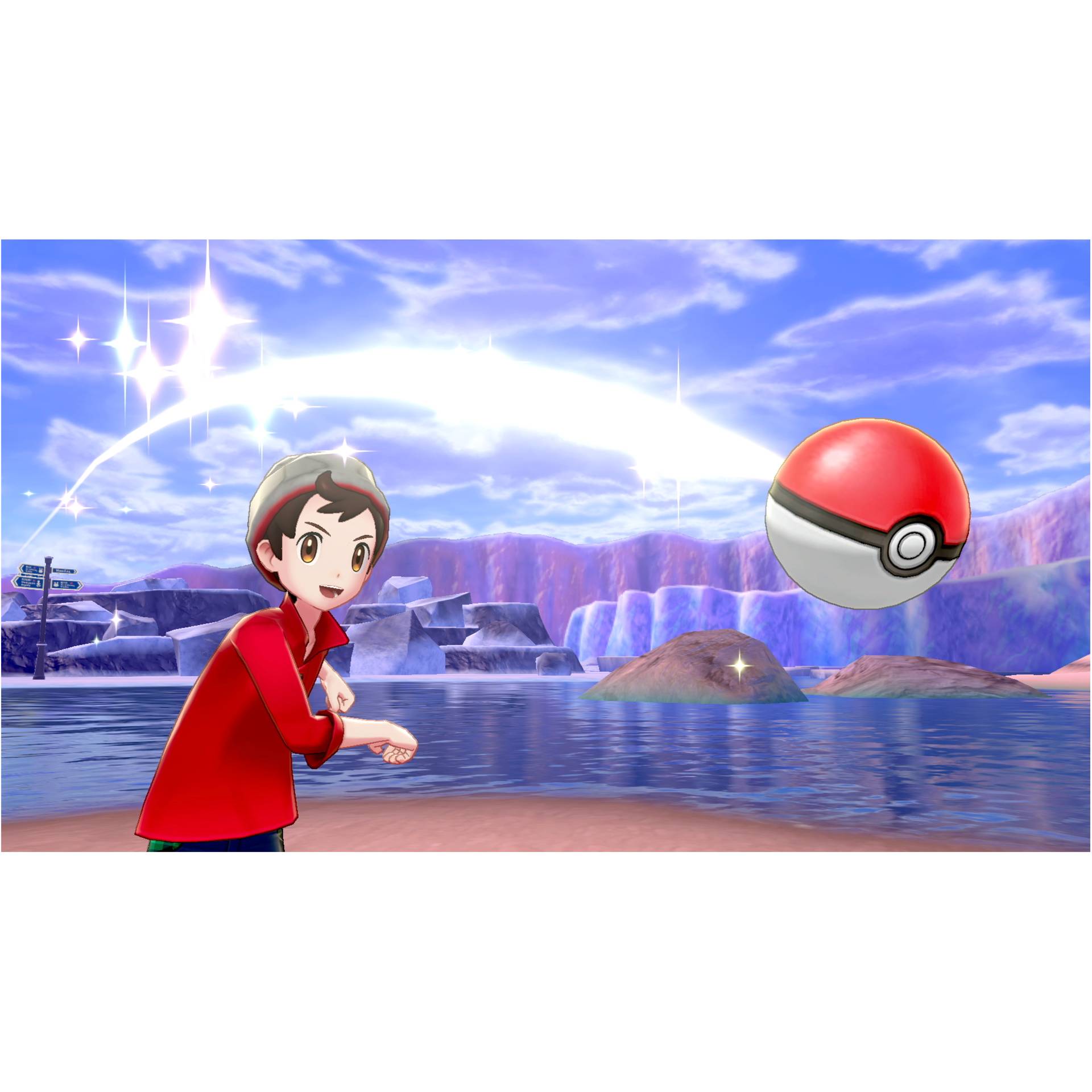 Nintendo Switch Pokemon Spada