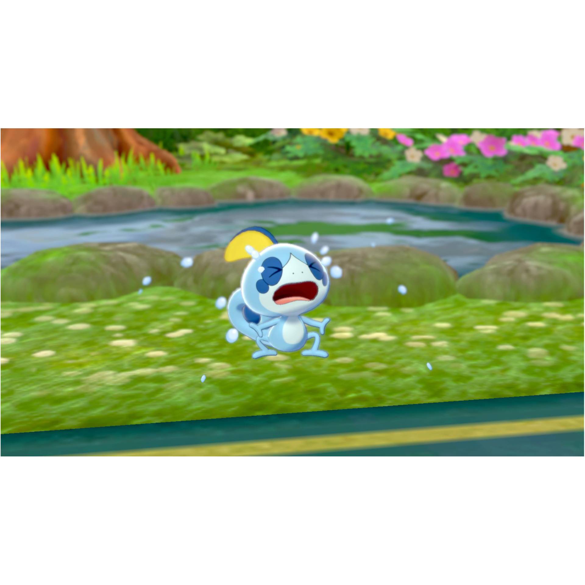 Nintendo Switch Pokemon Spada