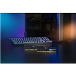 Crucial DDR5-5600           32GB UDIMM CL46 (16Gbit)