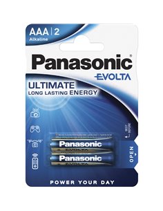 1x2 Panasonic Evolta LR 03 Micro AAA                  LR03EG