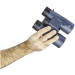 Bushnell H2O 2 8x42 a tetto